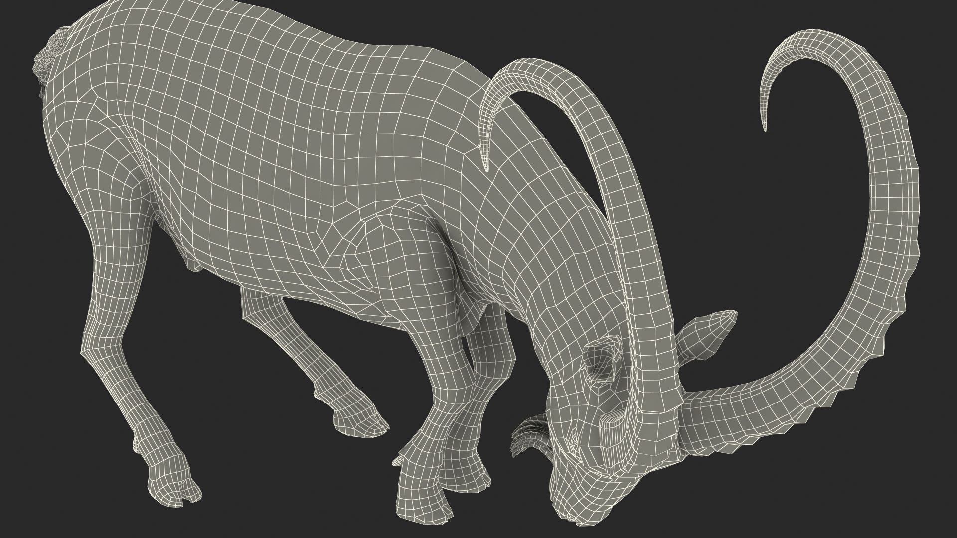 3D Alpine Ibex with Large Horns model