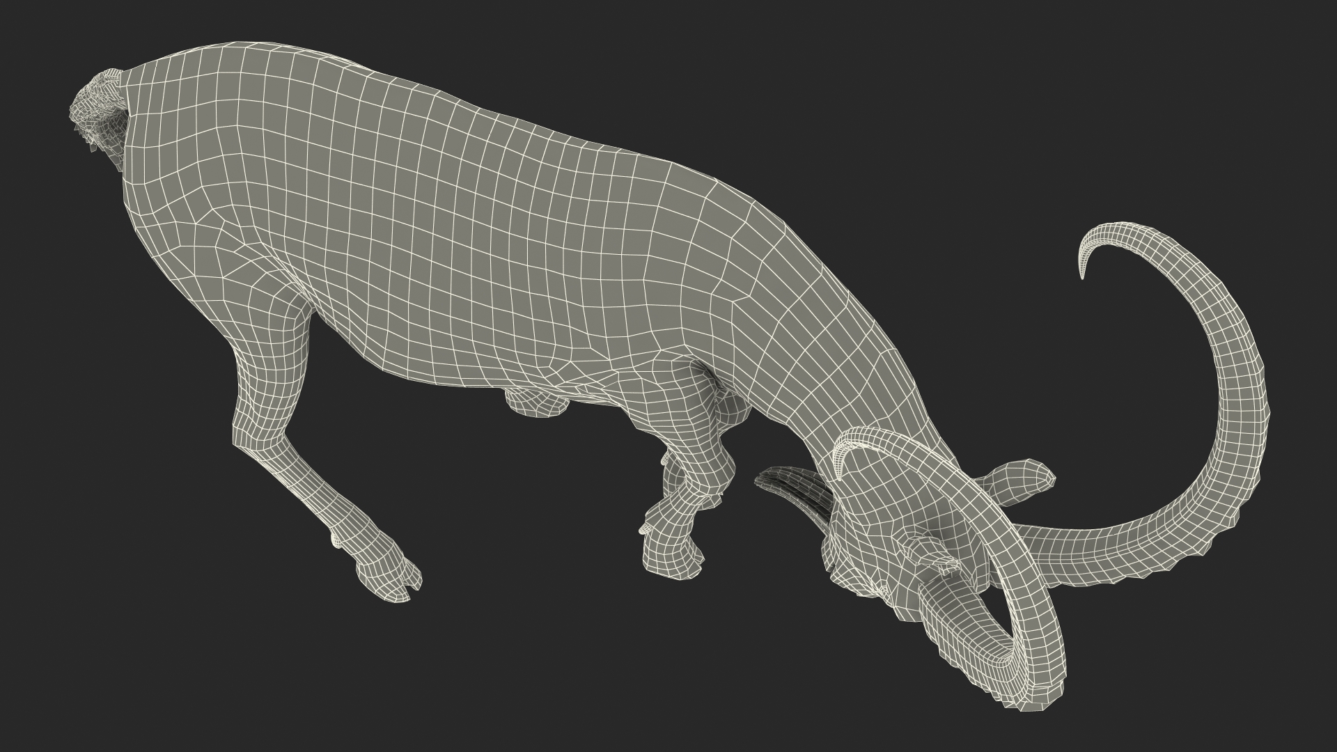 3D Alpine Ibex with Large Horns model