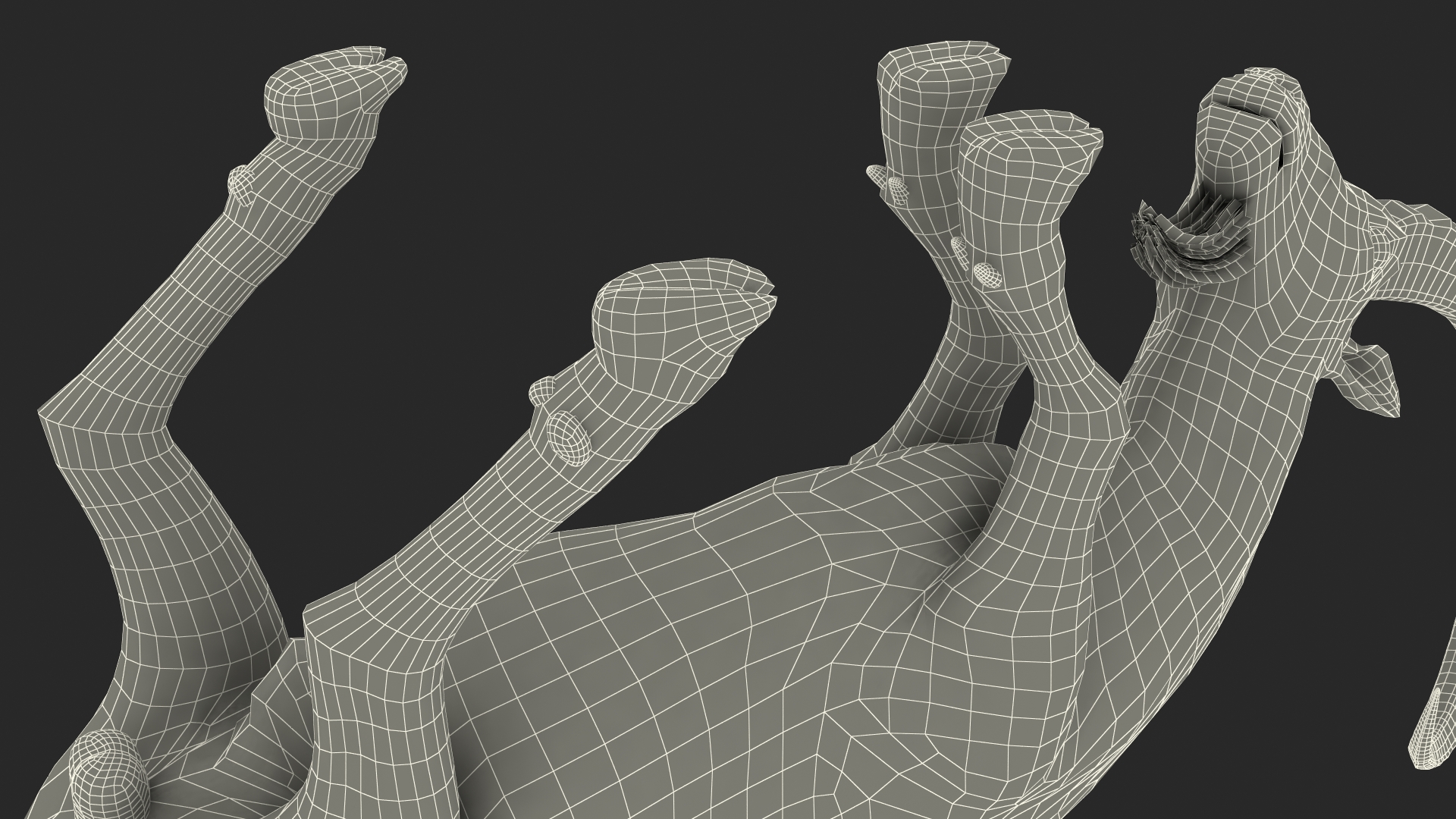 3D Alpine Ibex with Large Horns model