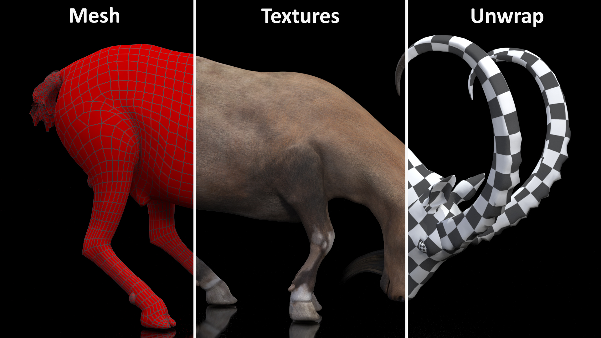 3D Alpine Ibex with Large Horns model