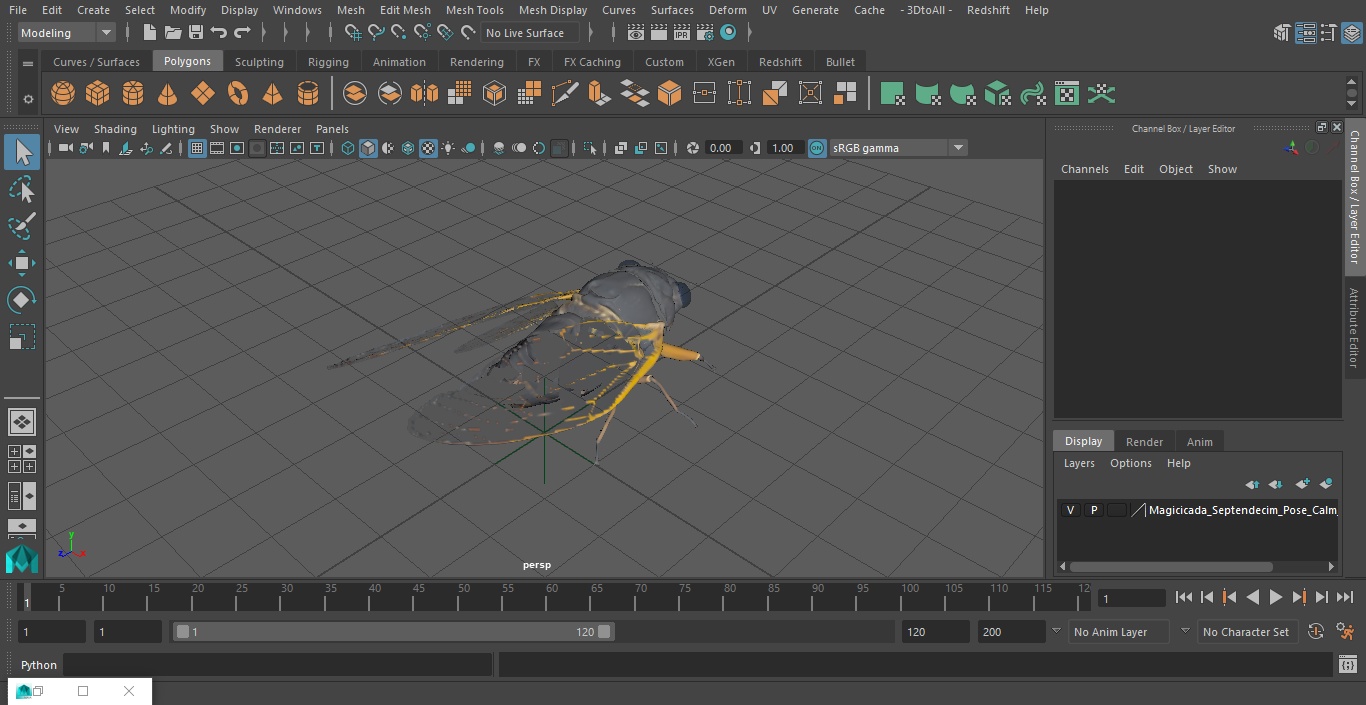 Magicicada Septendecim Pose Calm 3D