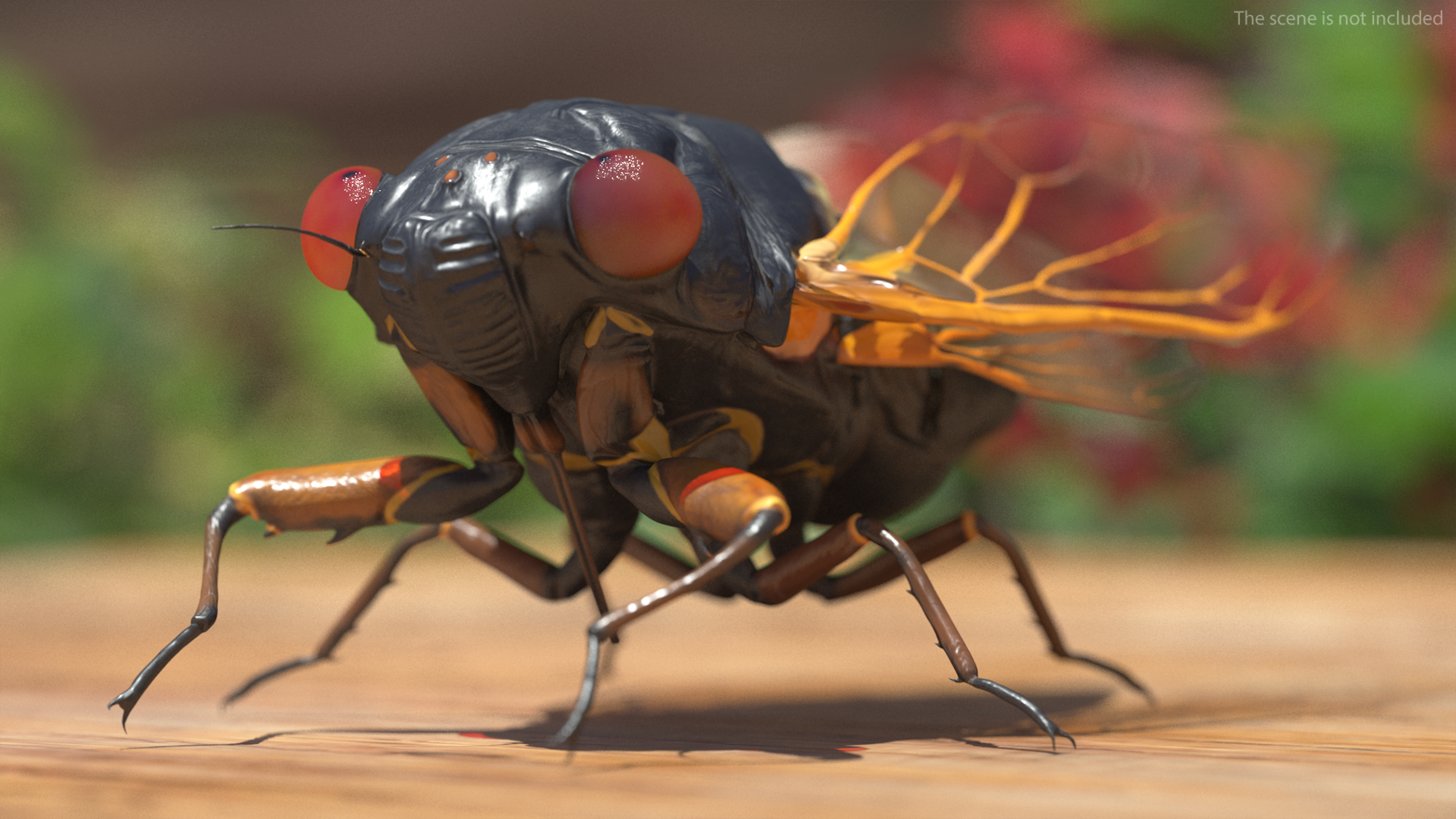 Magicicada Septendecim Pose Calm 3D