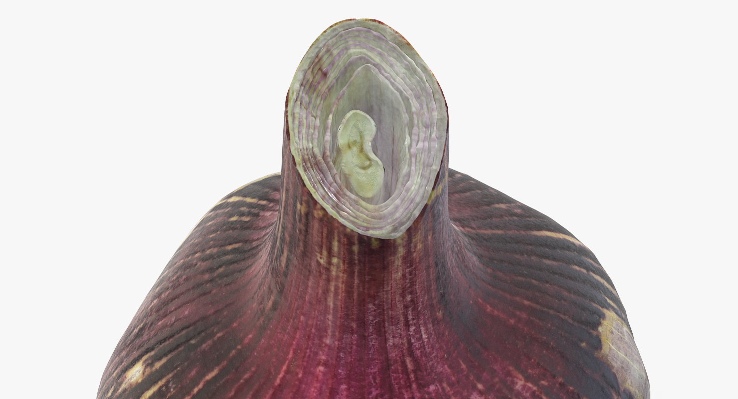 3D Garlic Bulb