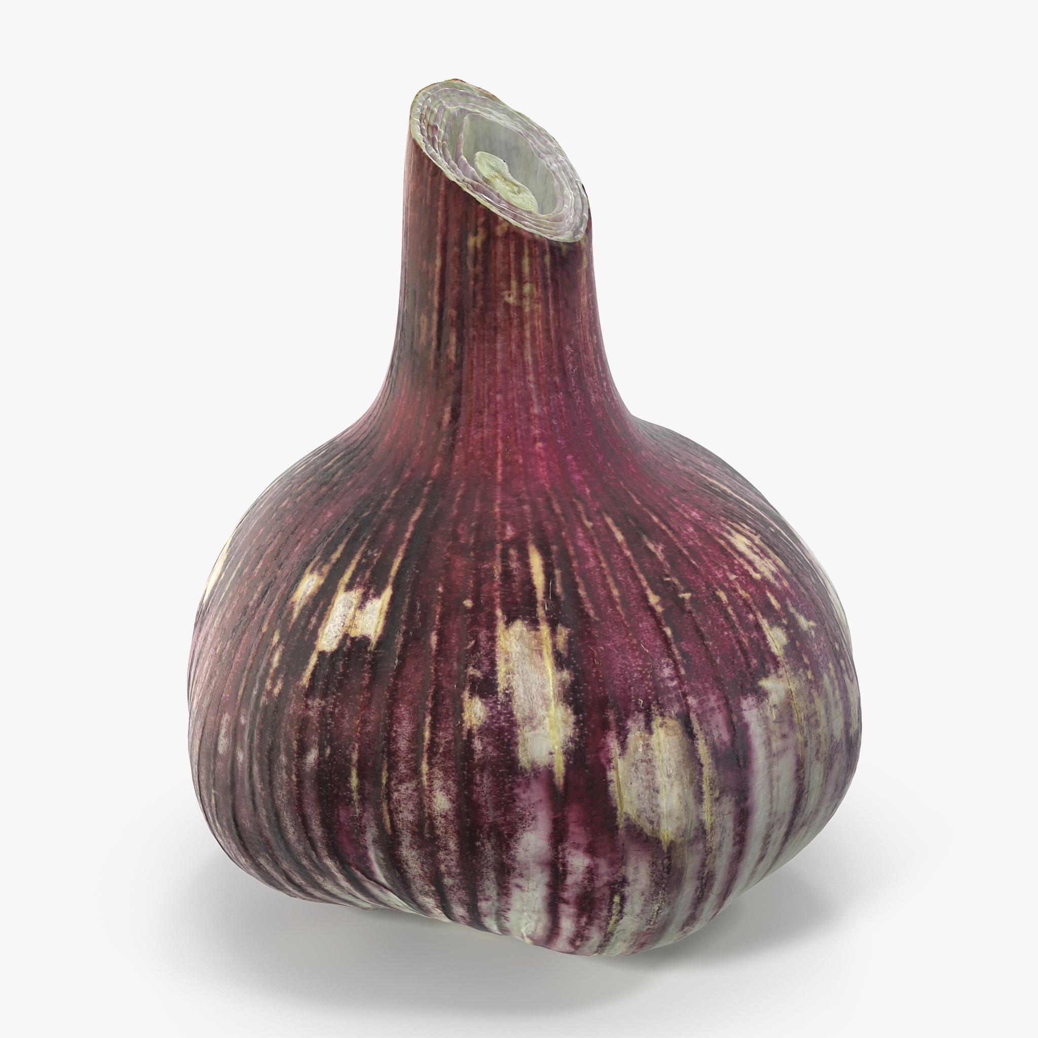 Garlic Bulb, view 4