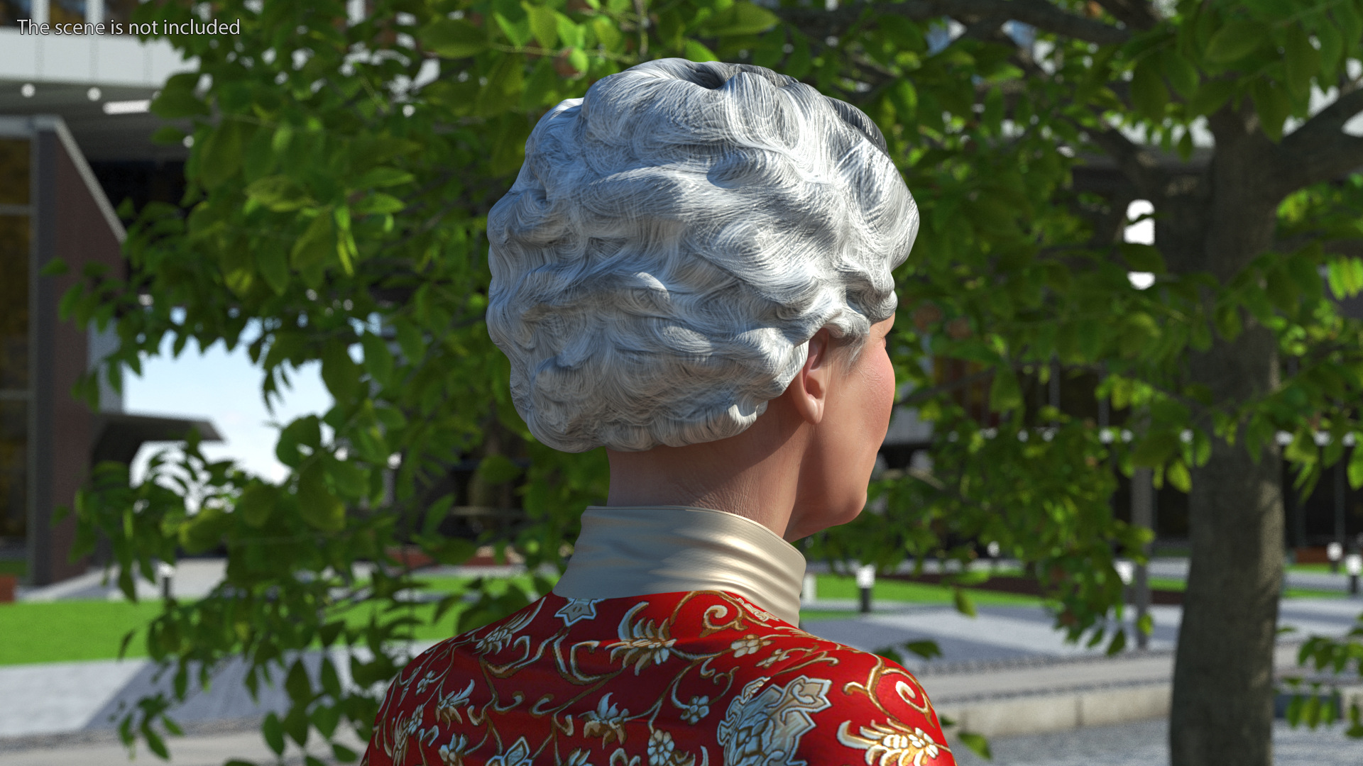 Chinese Elderly Woman Formal Wear Rigged for Cinema 4D 3D model