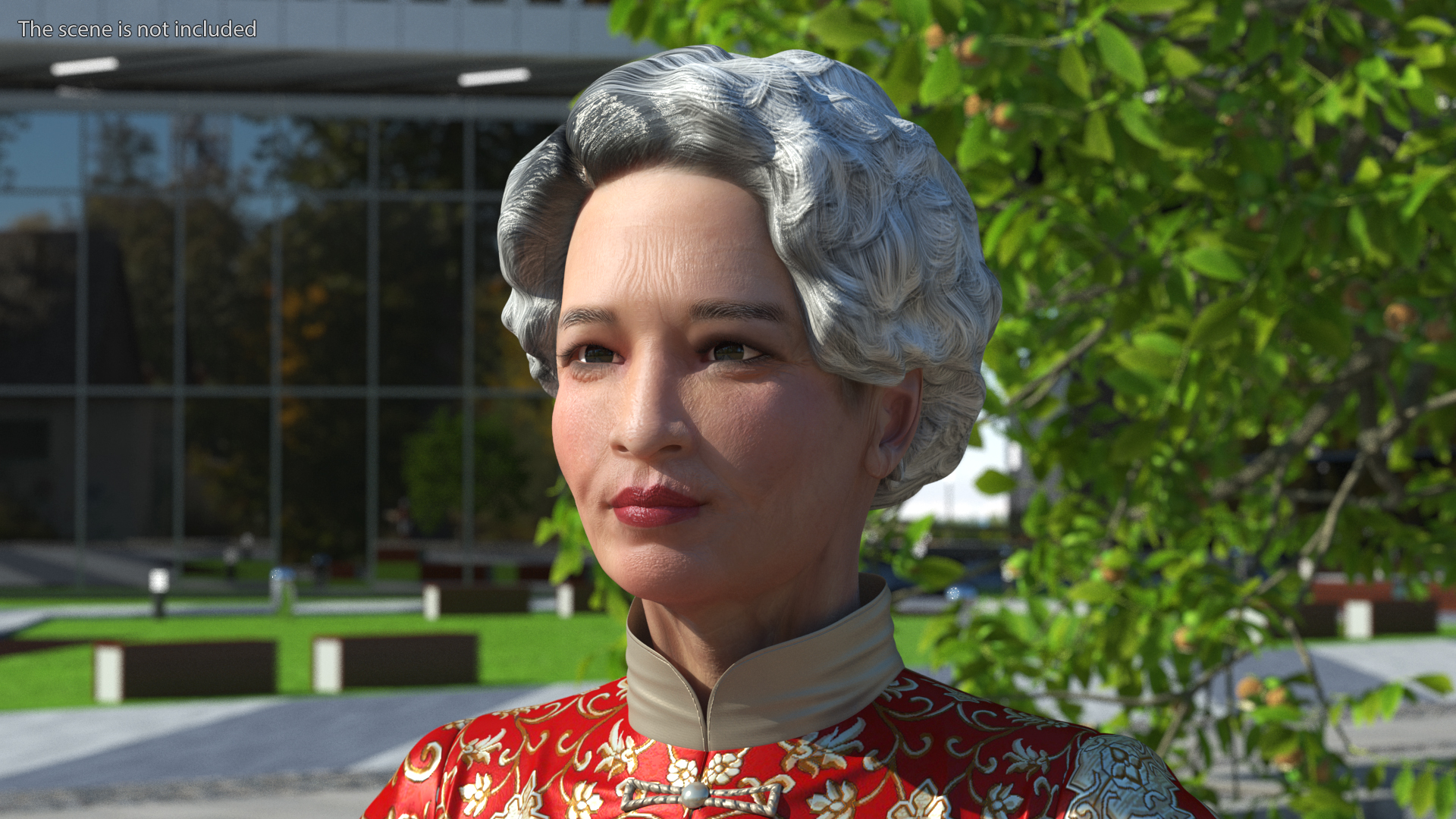 Chinese Elderly Woman Formal Wear Rigged for Cinema 4D 3D model