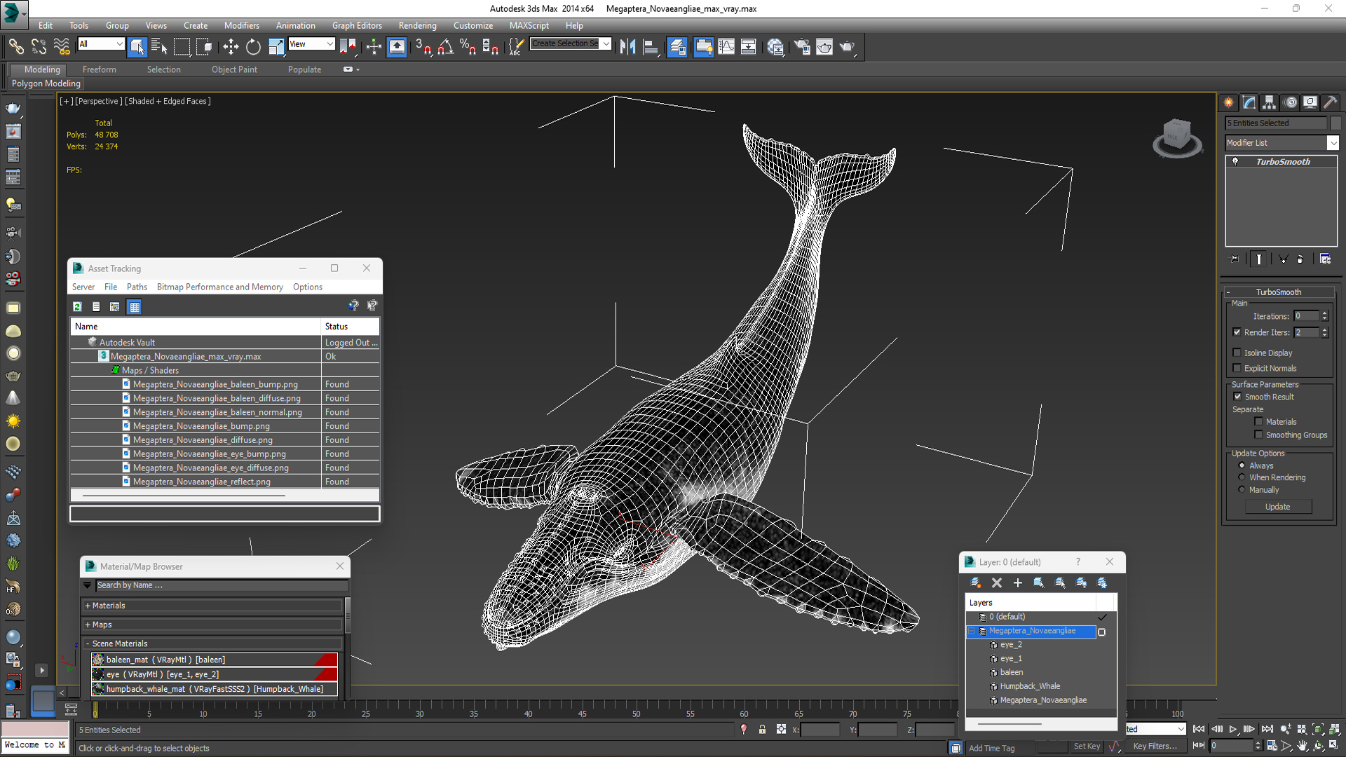 Megaptera Novaeangliae 3D