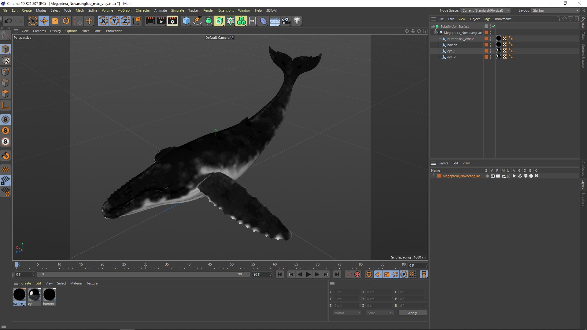 Megaptera Novaeangliae 3D