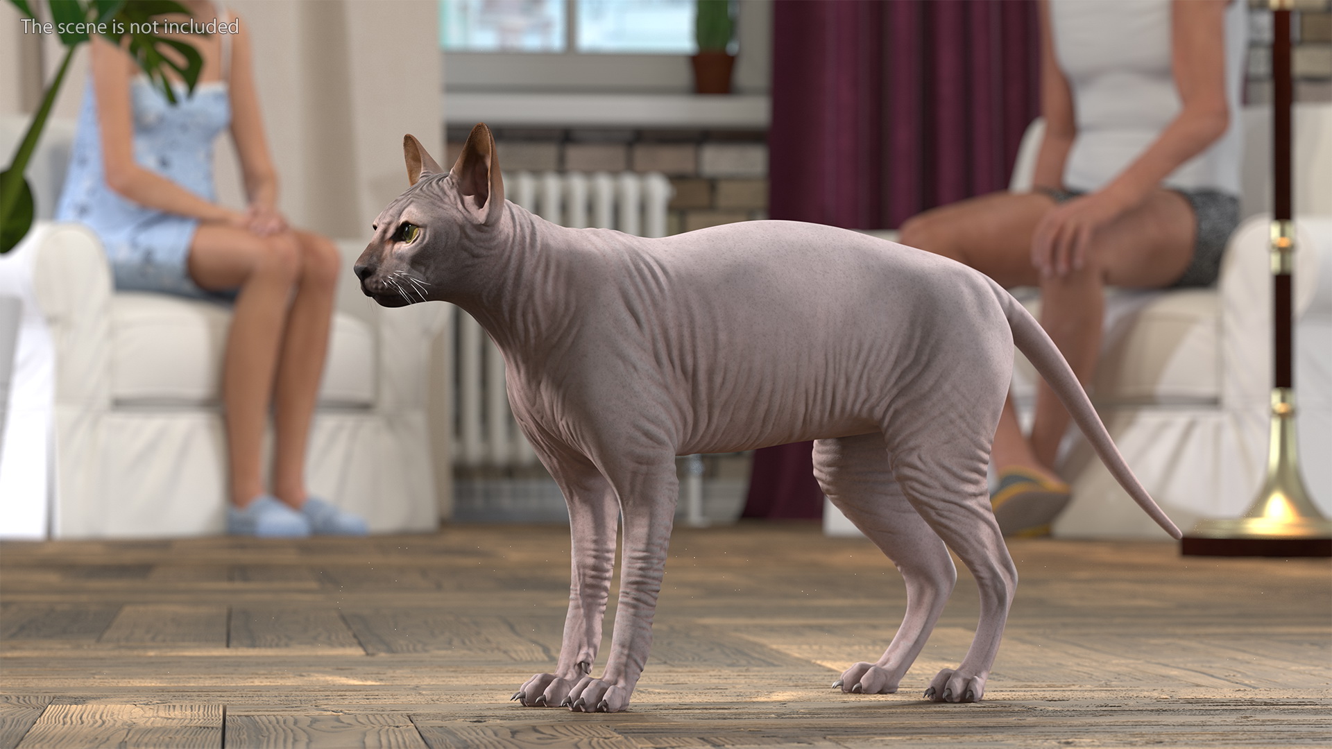 3D Dark Cream Sphynx Cat Rigged model