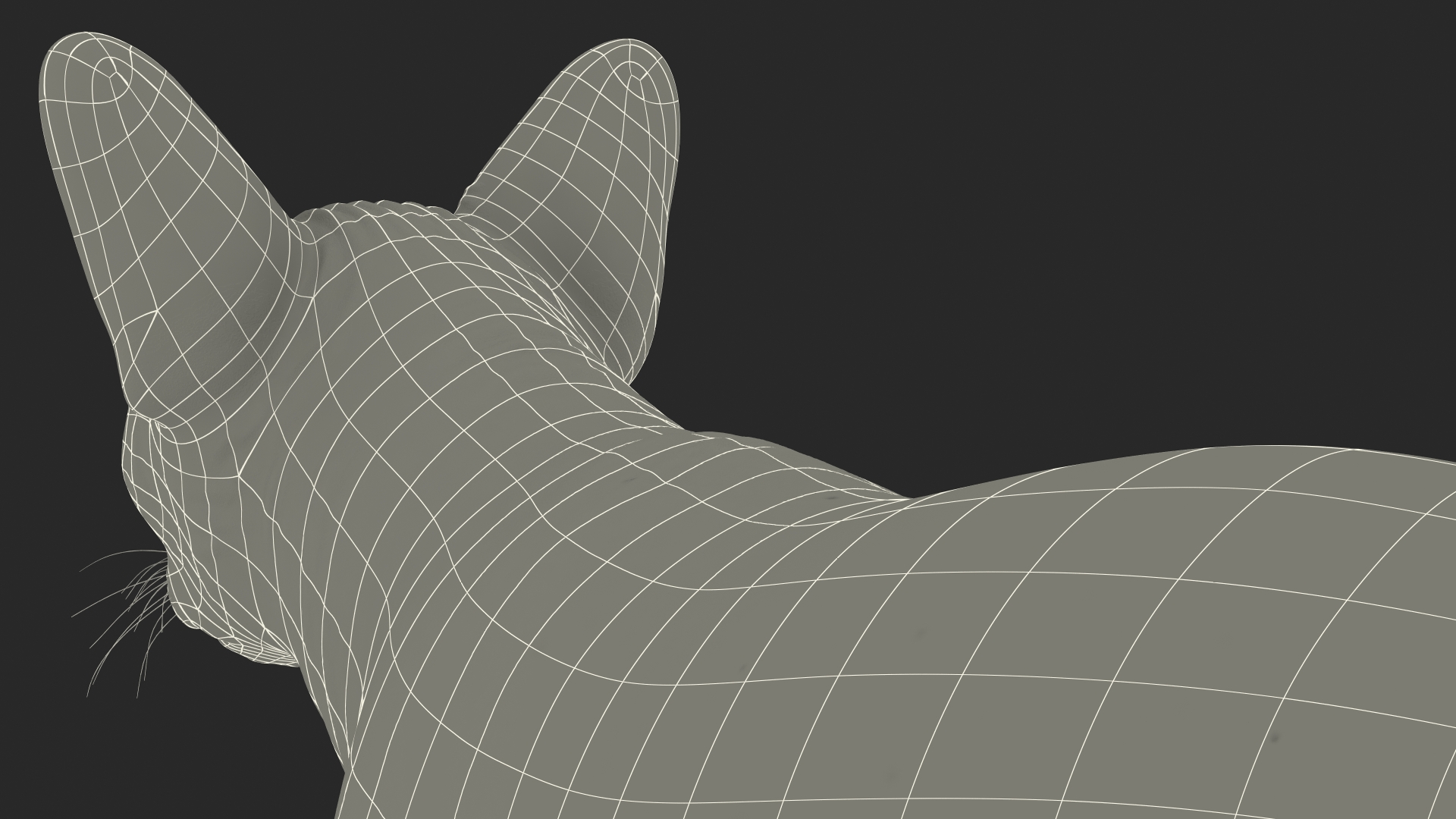 3D Dark Cream Sphynx Cat Rigged model