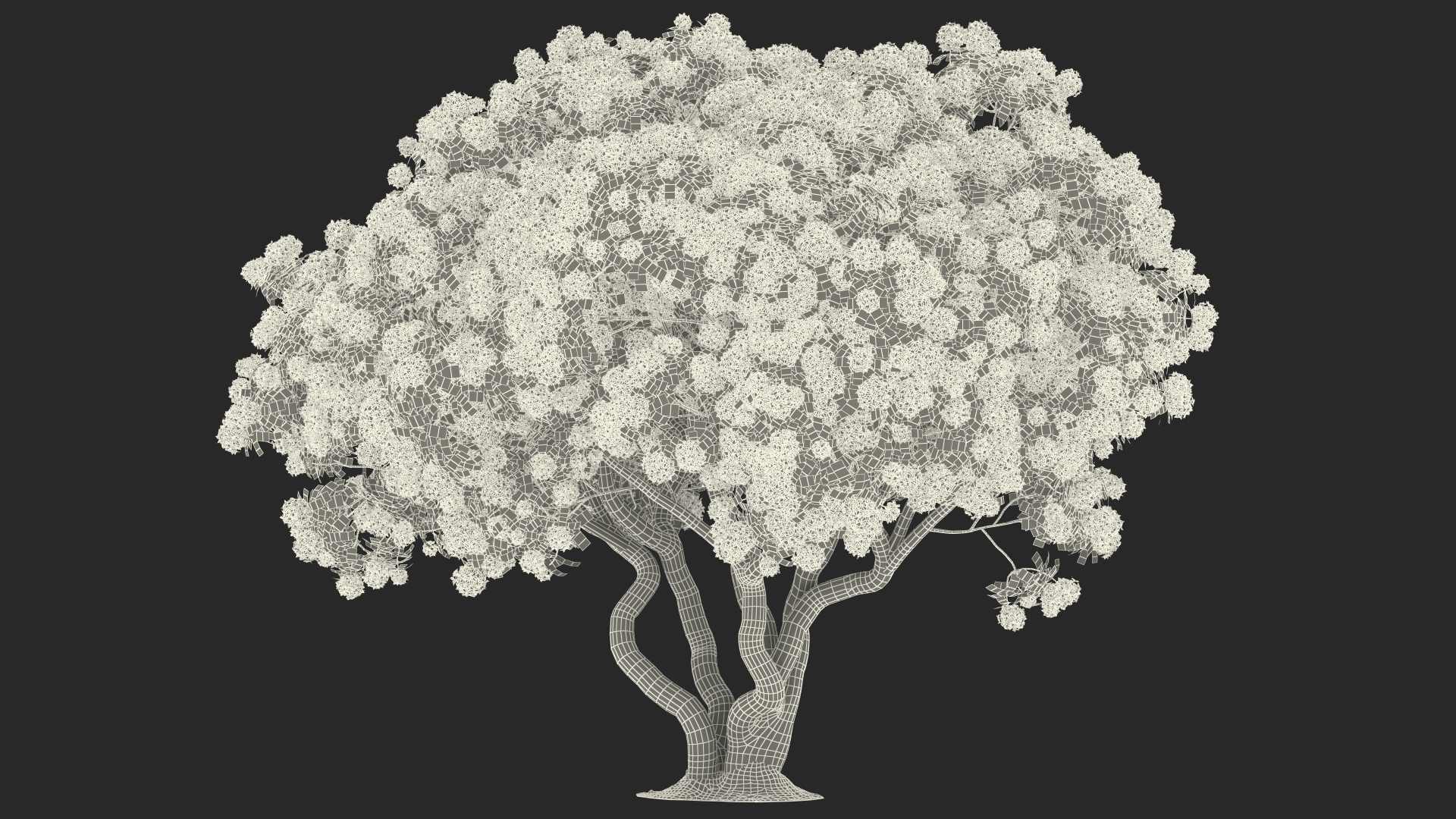 3D Rhododendron Purple Flower Tree
