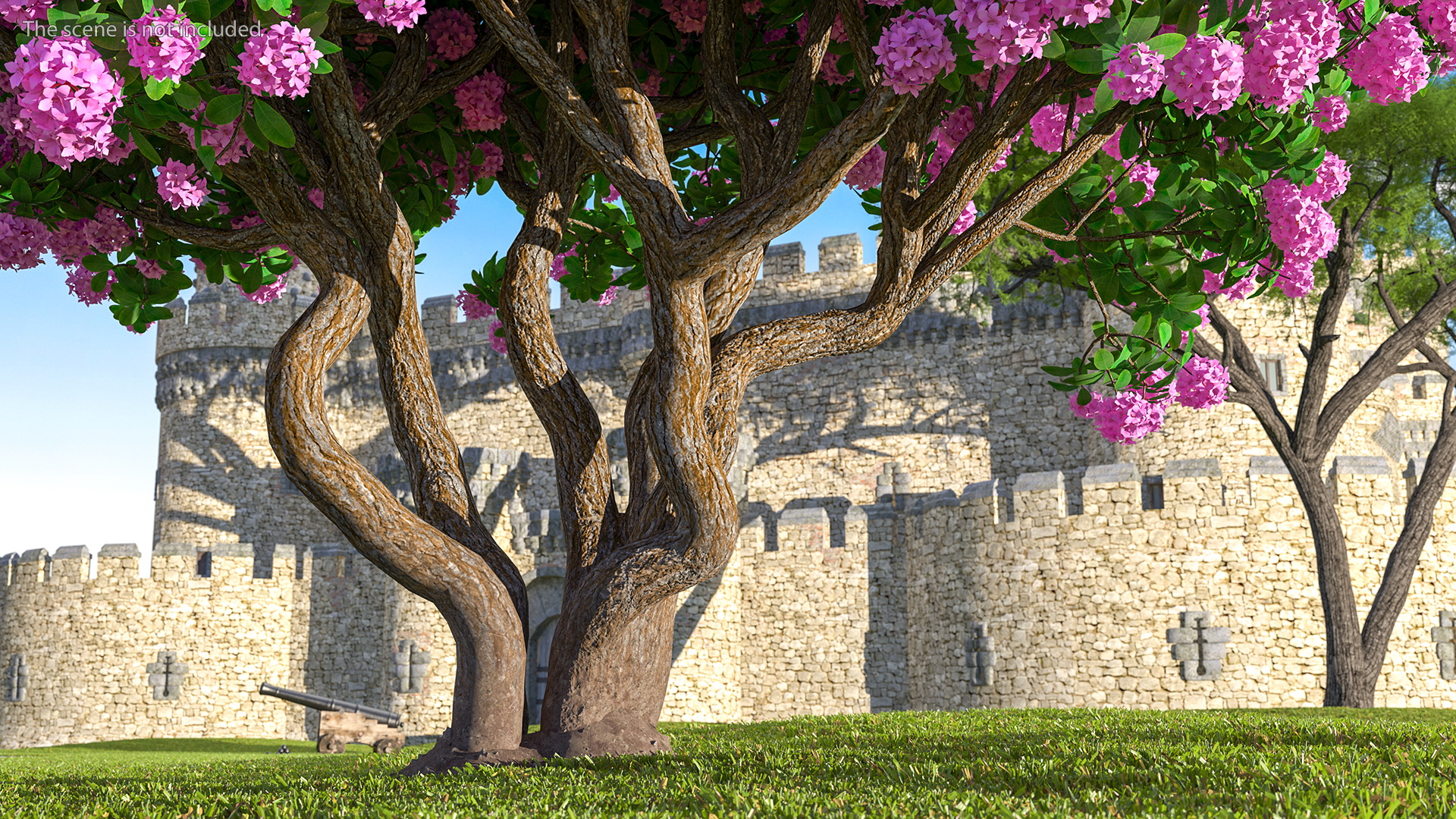 3D Rhododendron Purple Flower Tree
