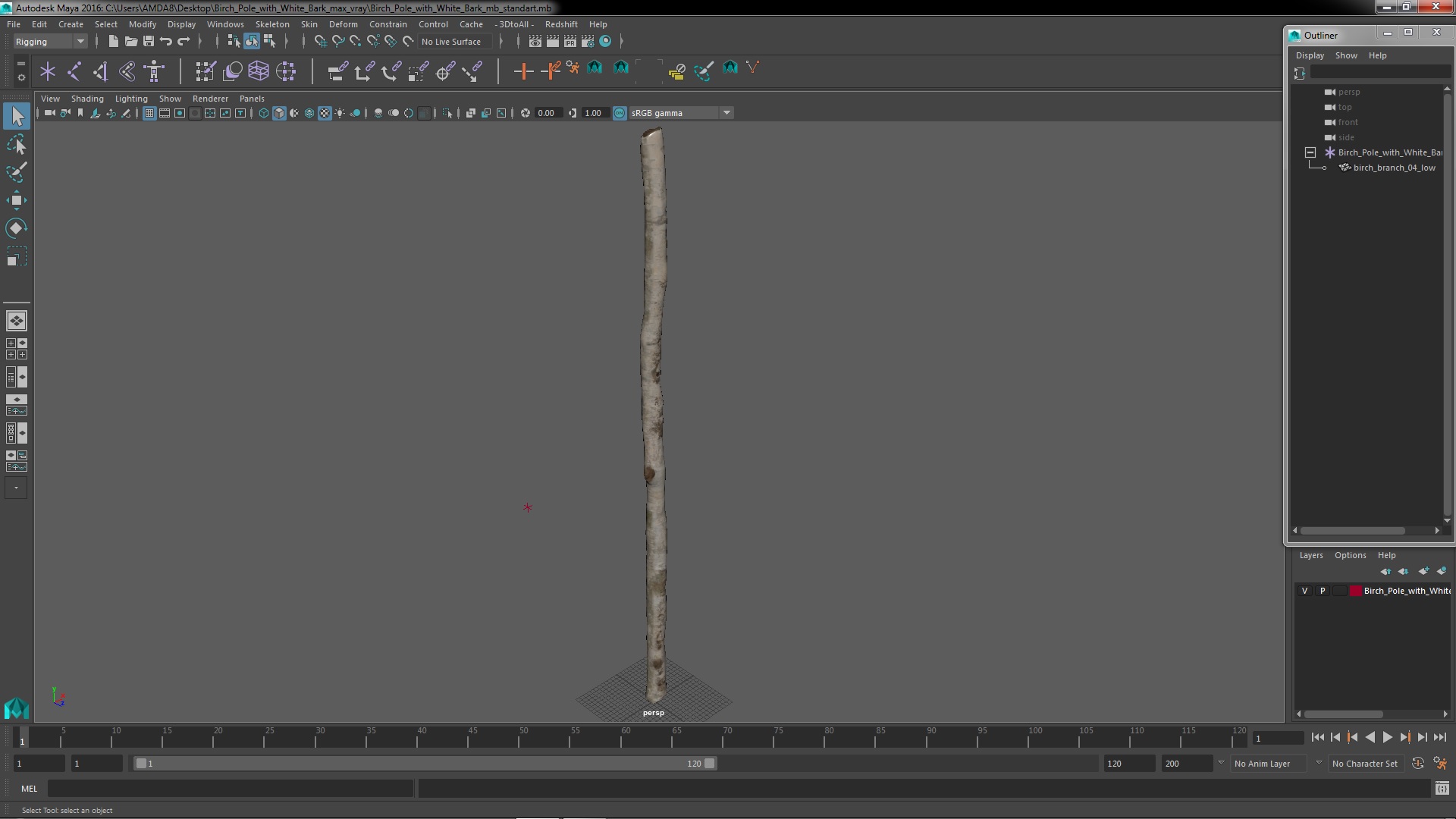 3D Birch Pole with White Bark