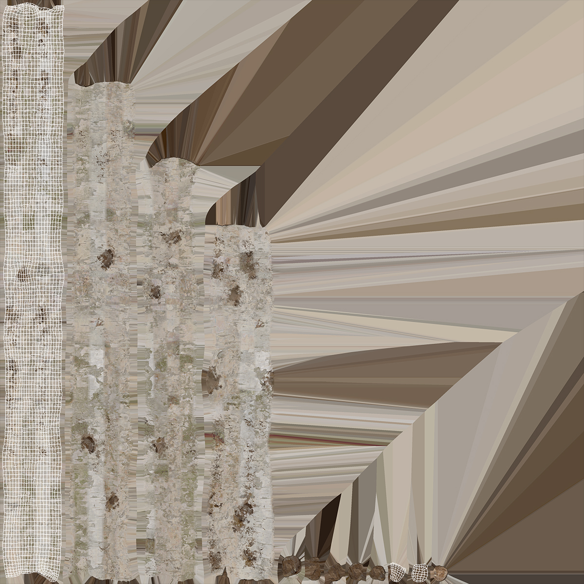 3D Birch Pole with White Bark