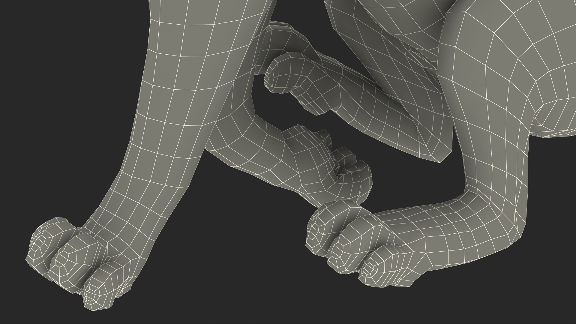 3D Lynx Running Fur