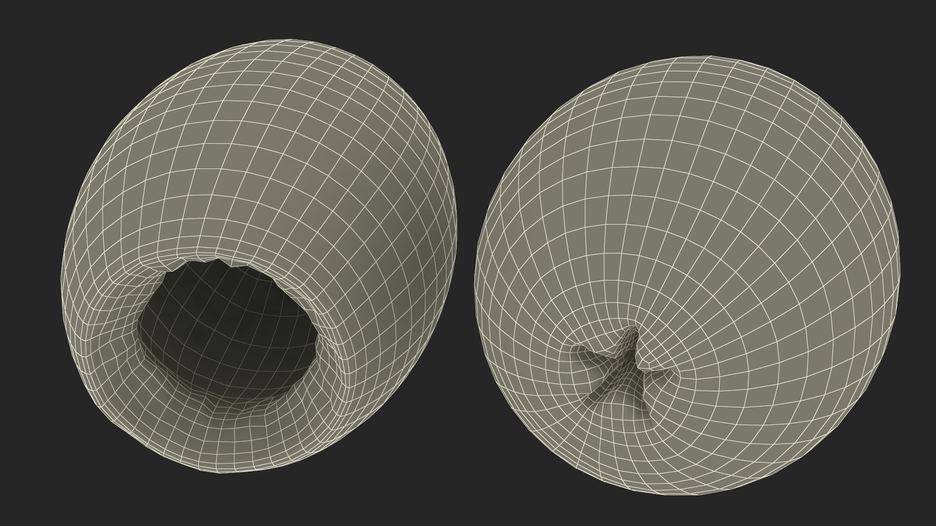 Black Olives Pitted 3D model