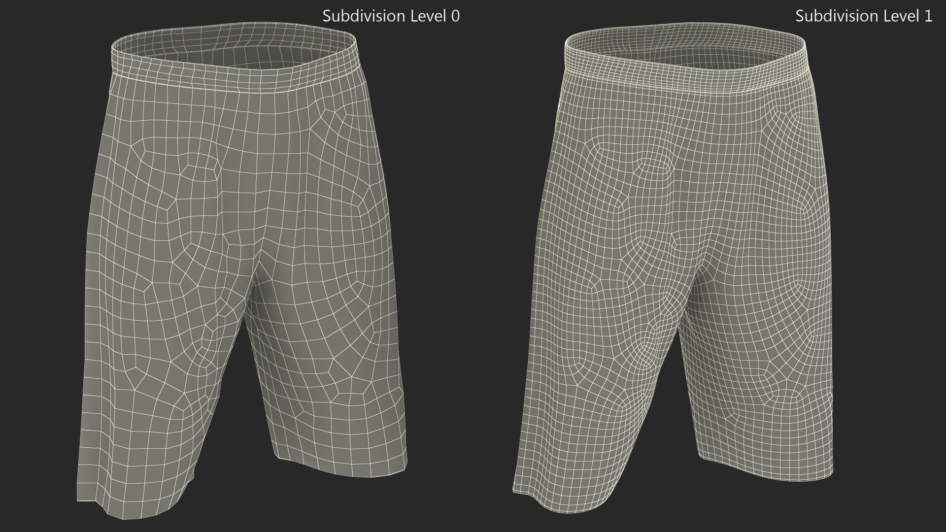 3D Athletic Basketball Shorts