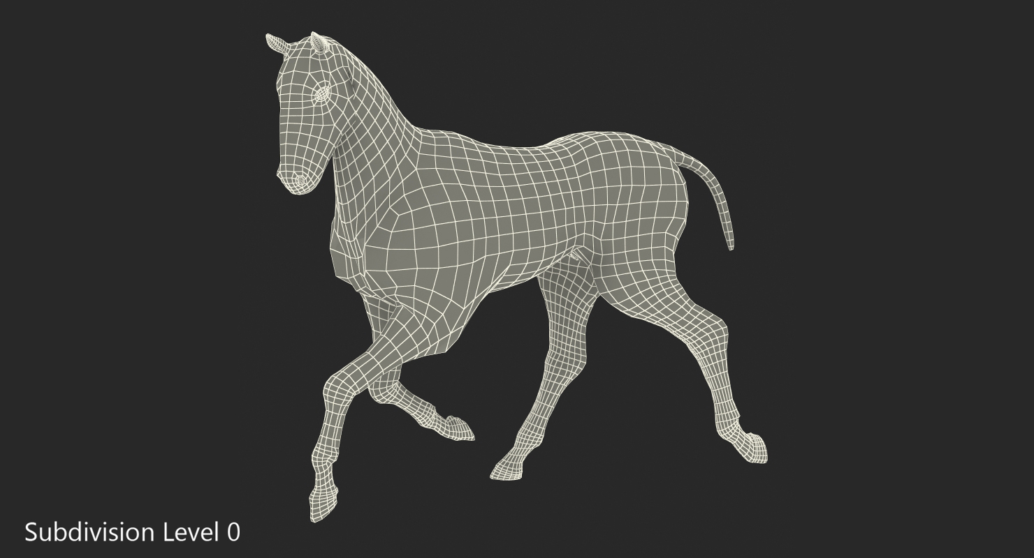 3D Running Horse Pose Envelope with Skeleton
