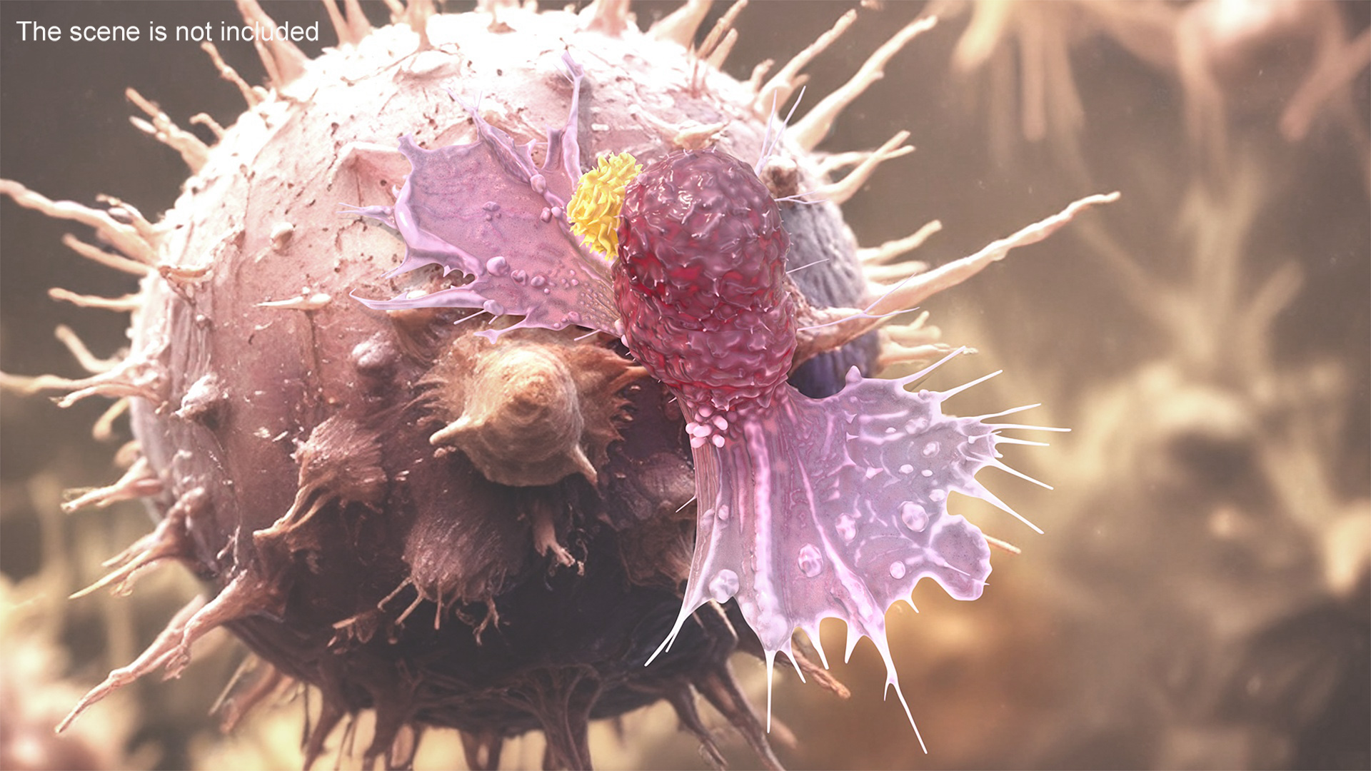 Cancer Cell with Lymphocyte 3D