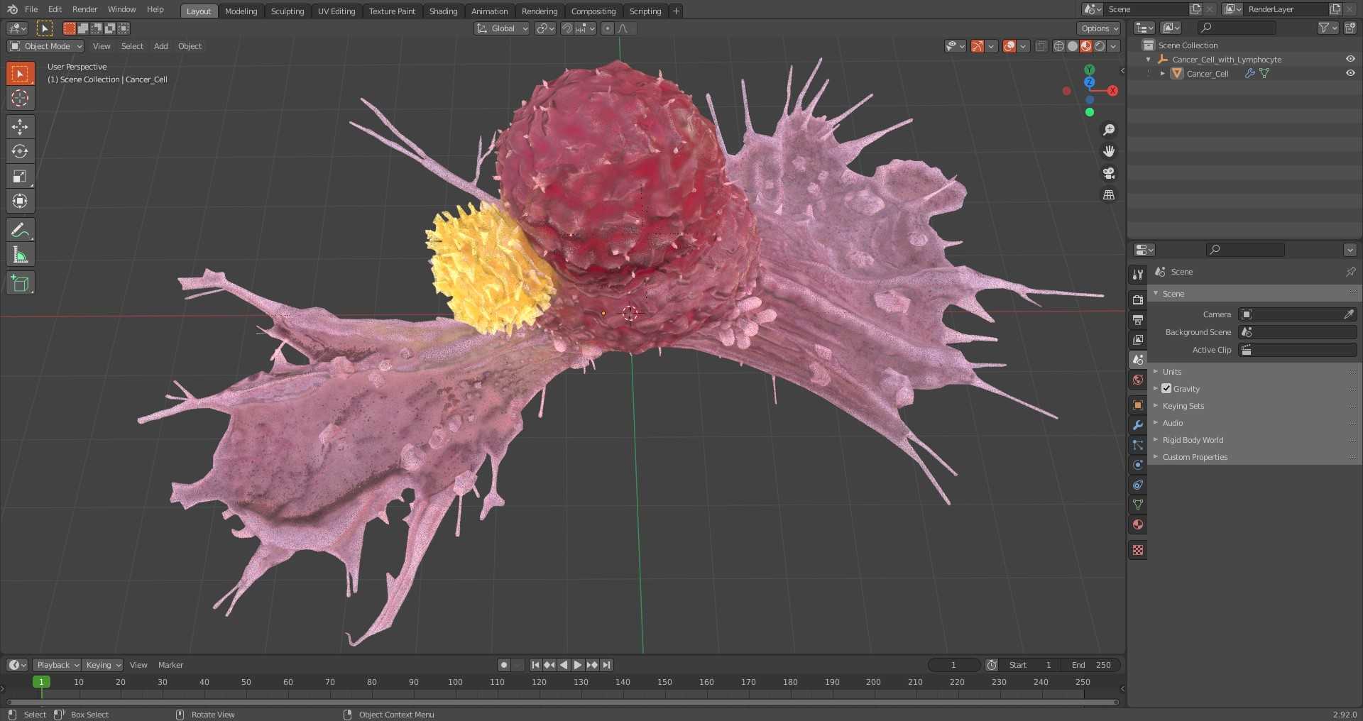 Cancer Cell with Lymphocyte 3D