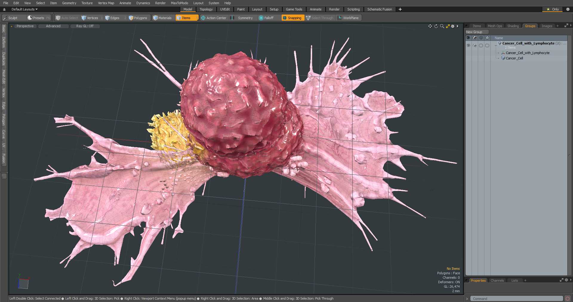 Cancer Cell with Lymphocyte 3D