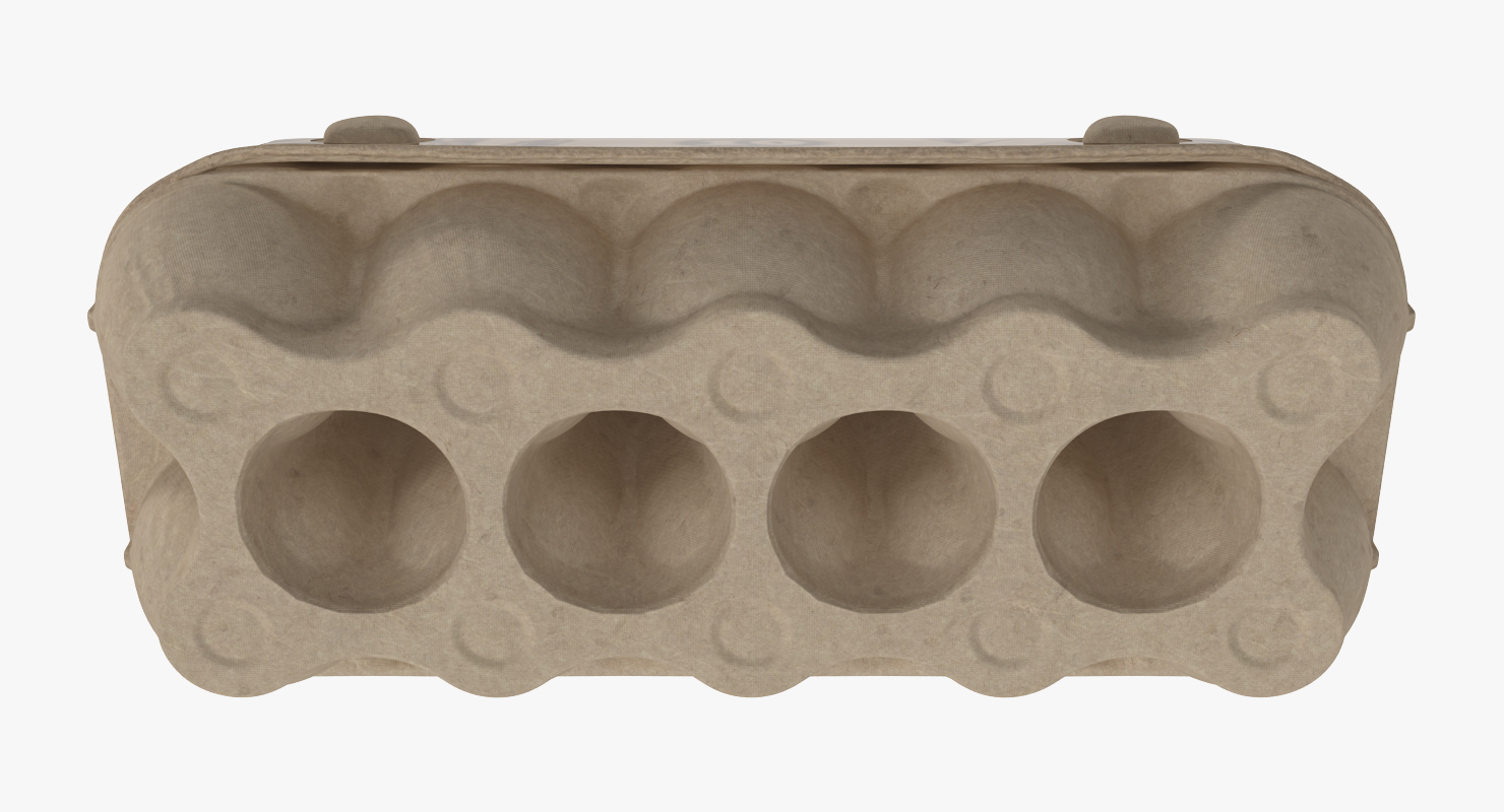 3D model Ten Eggs Carton Package Closed