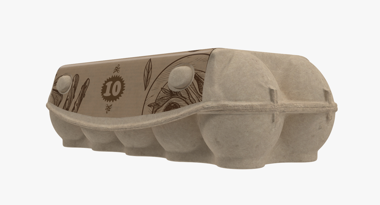 3D model Ten Eggs Carton Package Closed