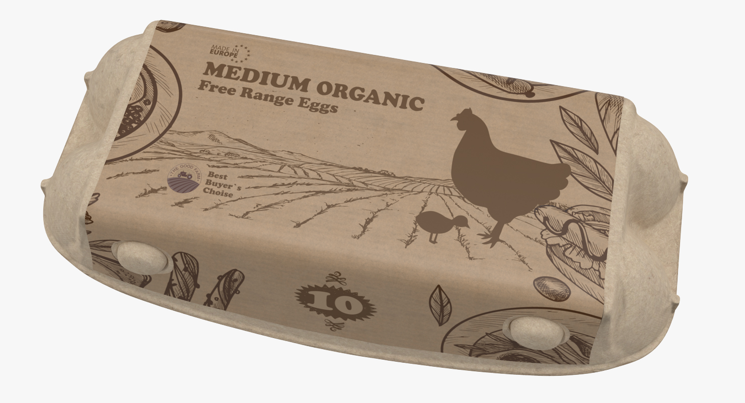3D model Ten Eggs Carton Package Closed