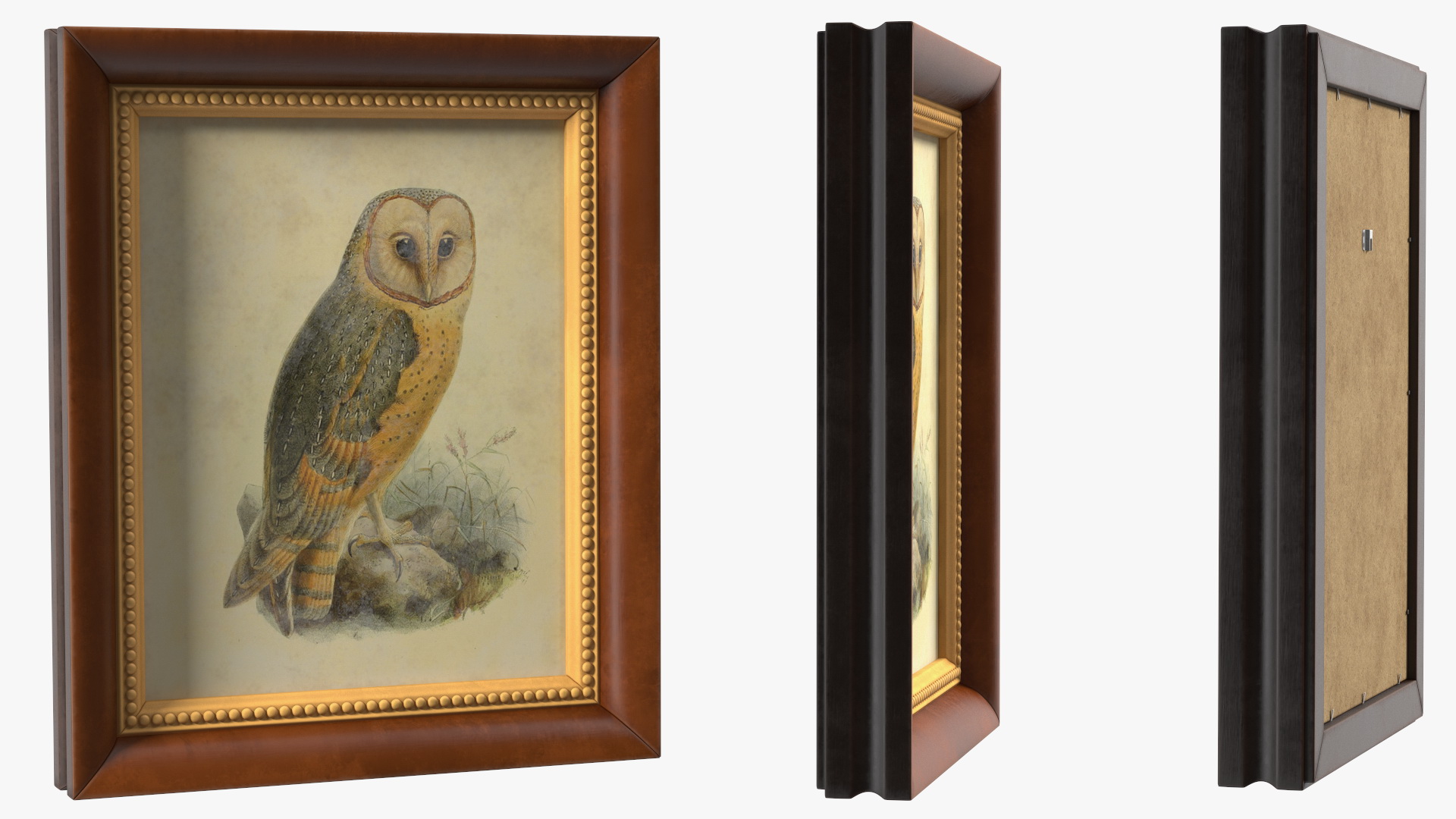 3D model Vintage Ornate Frames Set