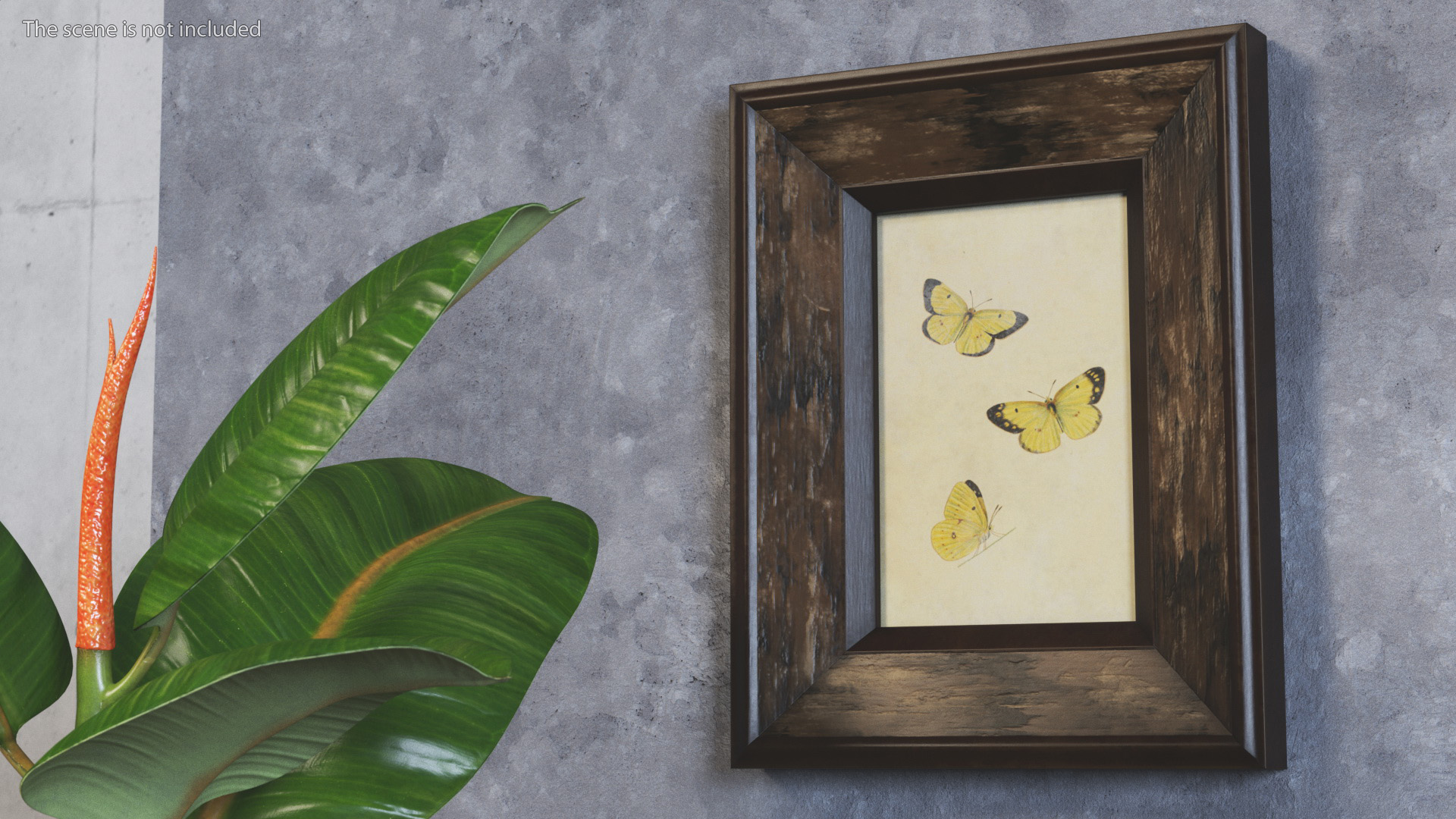 3D model Vintage Ornate Frames Set