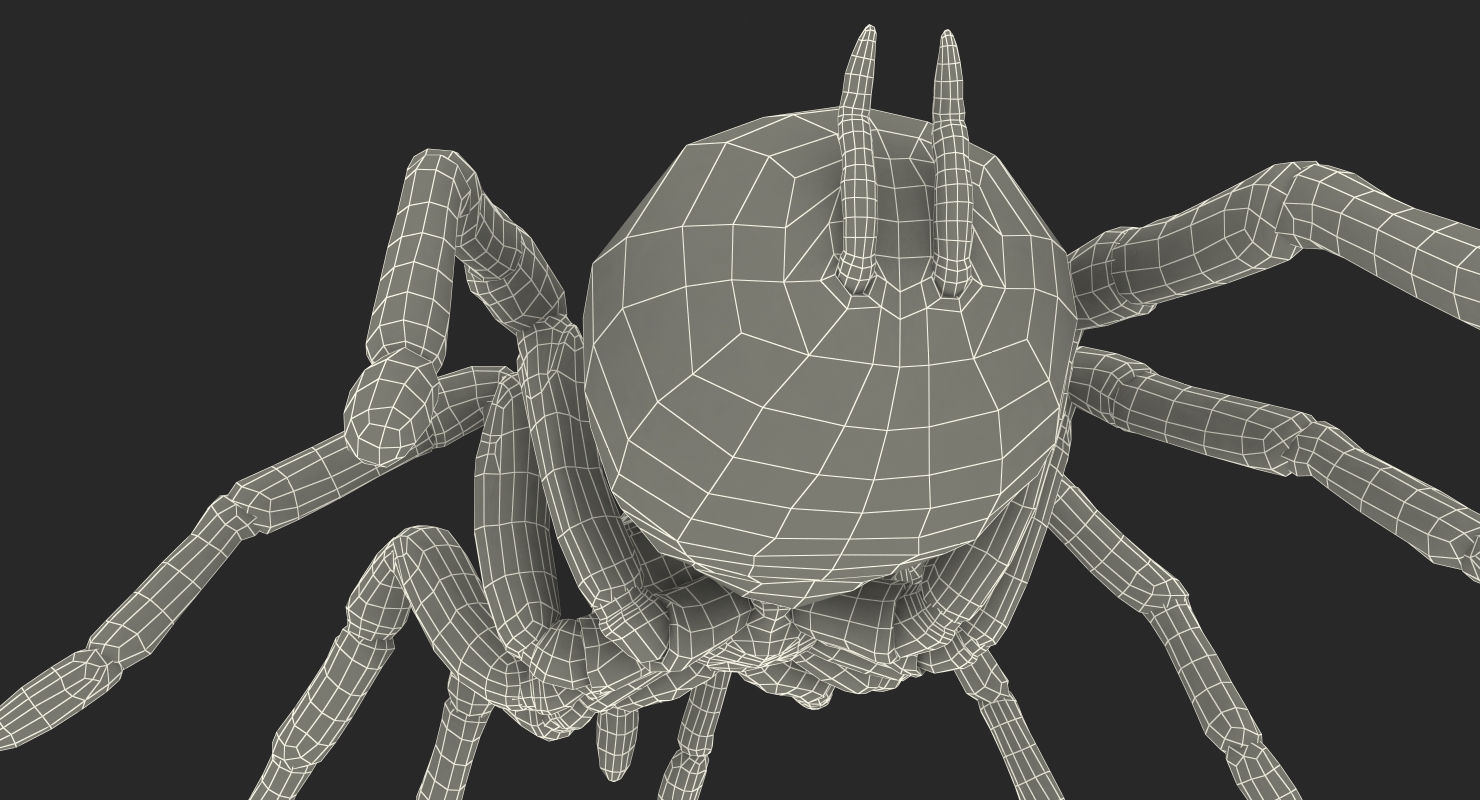 3D model Bird Eating Spider Walkig Pose