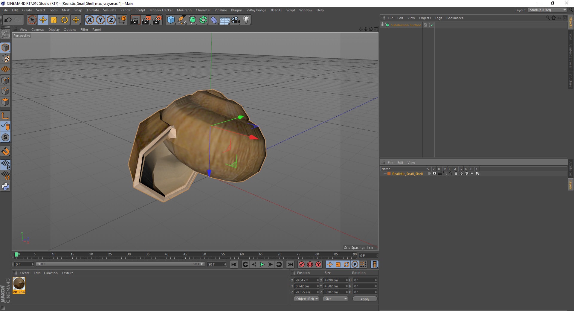 3D Realistic Snail Shell