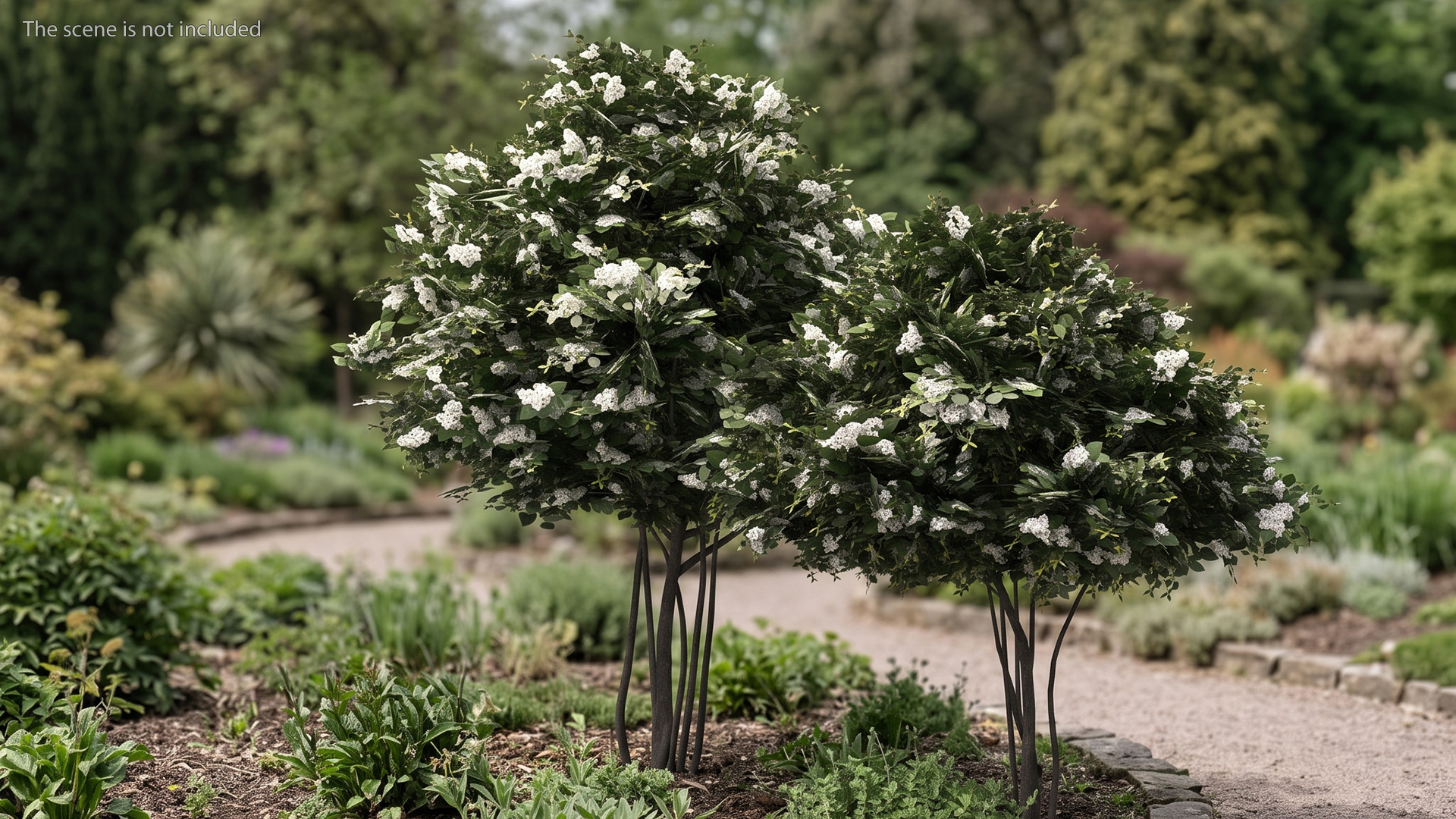 Low Poly Flowering Lilac Bushes Green, view 2