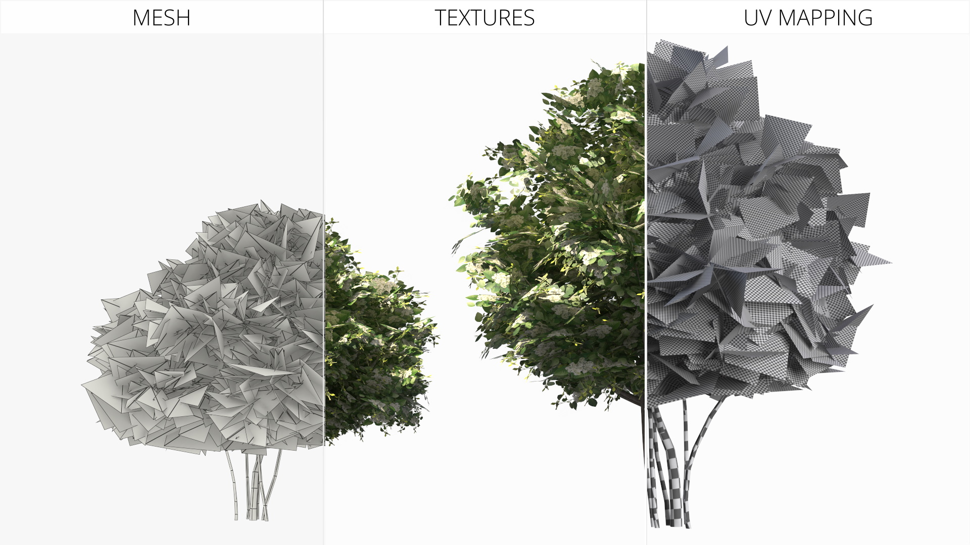 Low Poly Flowering Lilac Bushes Green, view 8
