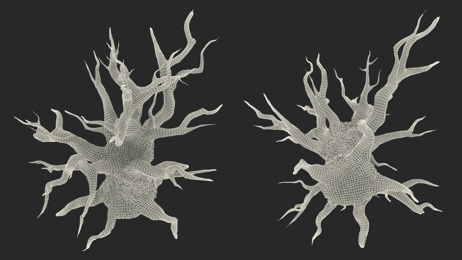 3D Spooky Old Twisted Tree model