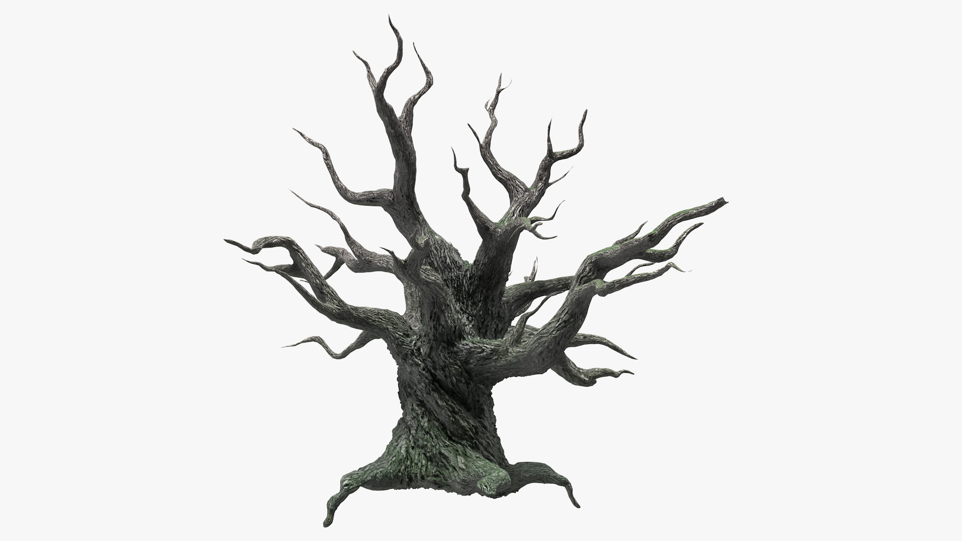 3D Spooky Old Twisted Tree model