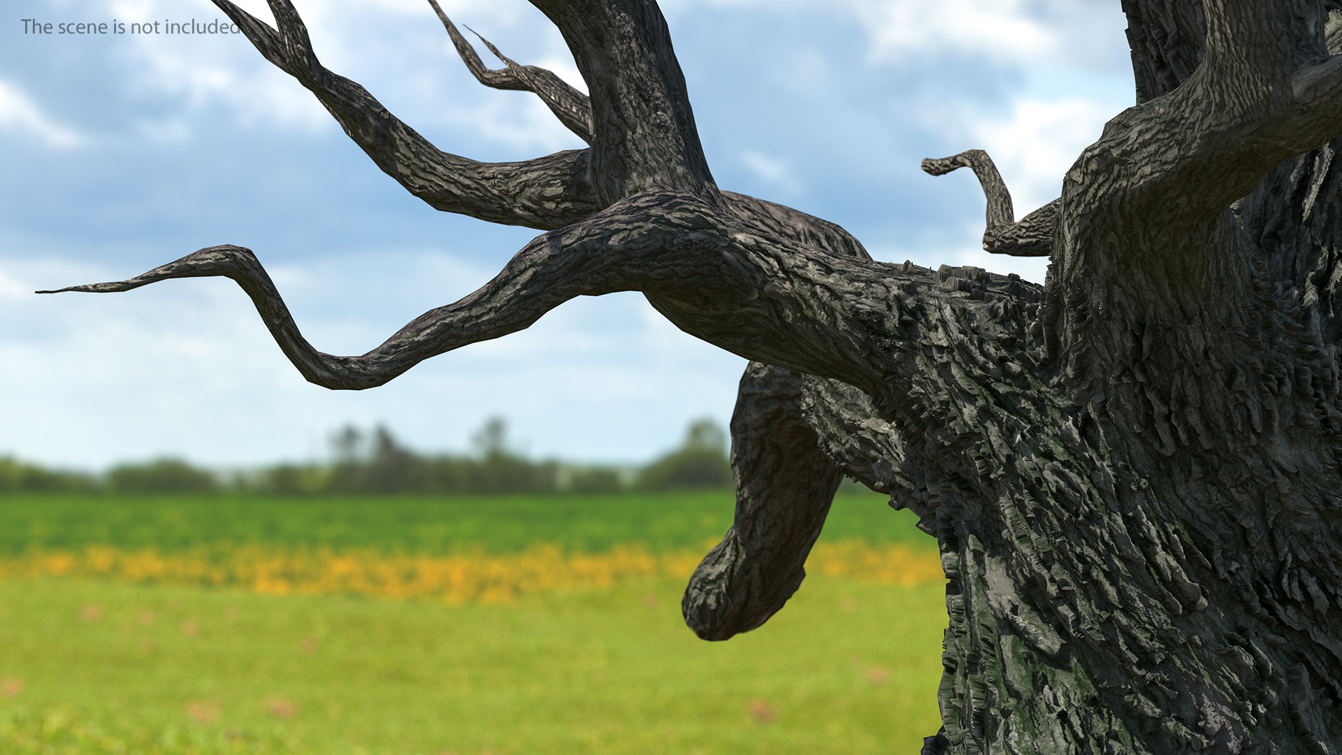 3D Spooky Old Twisted Tree model