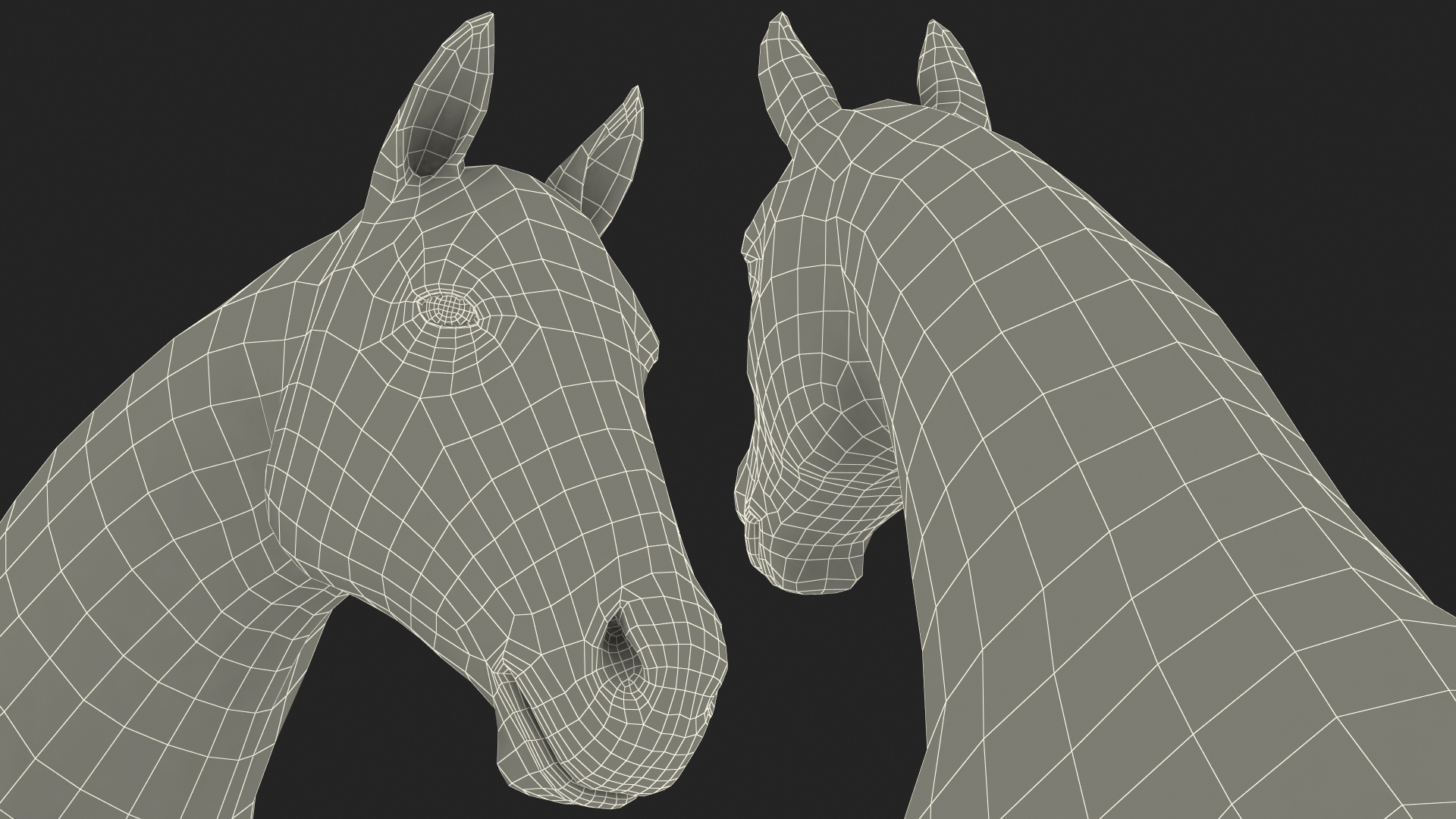 3D model White Horse Gait Fur