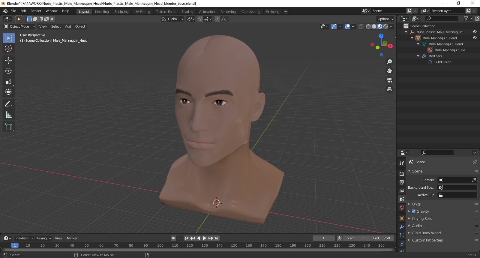 Nude Plastic Male Mannequin Head 3D