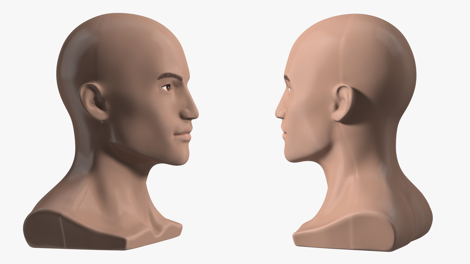 Nude Plastic Male Mannequin Head 3D