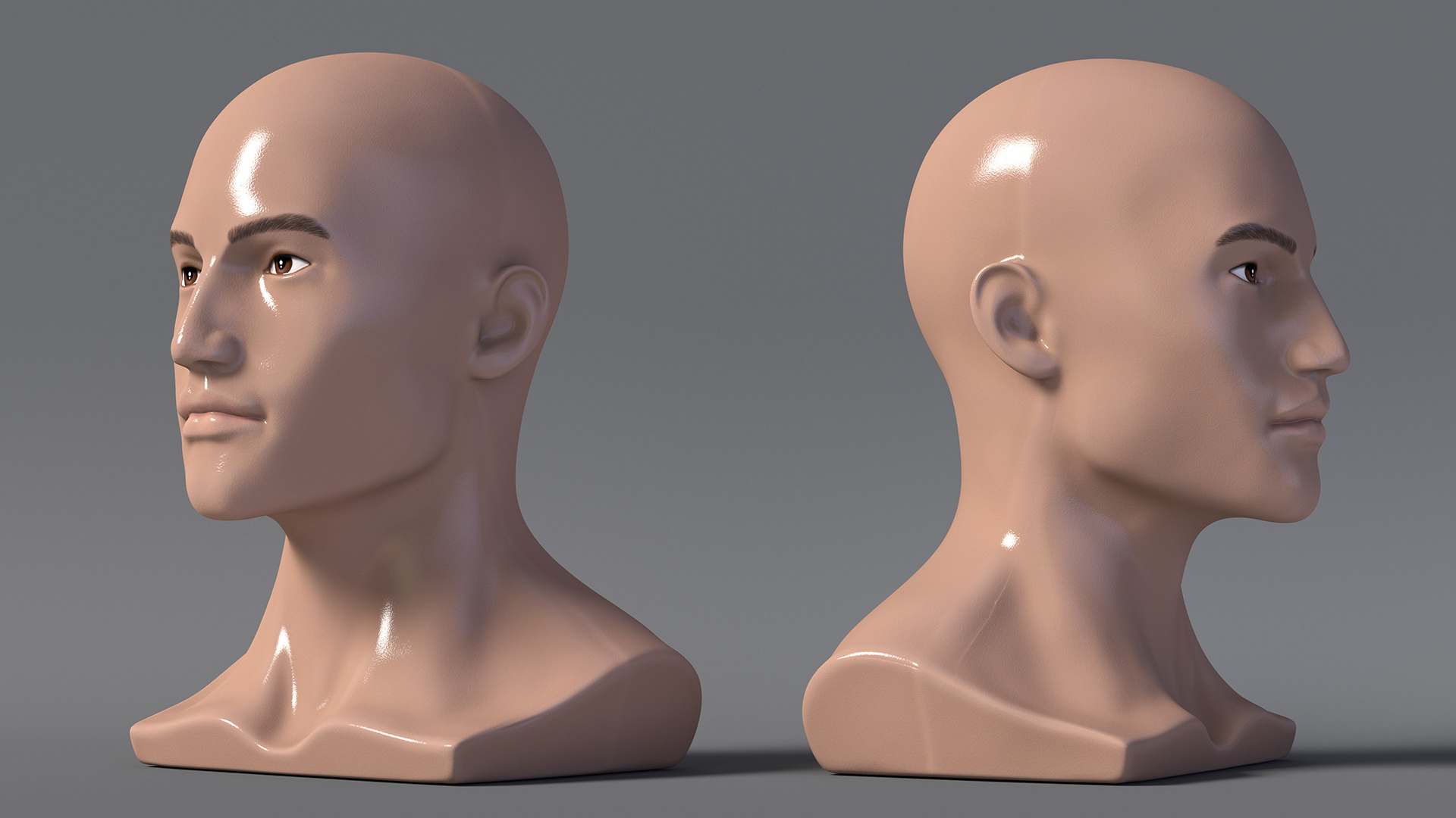 Nude Plastic Male Mannequin Head 3D