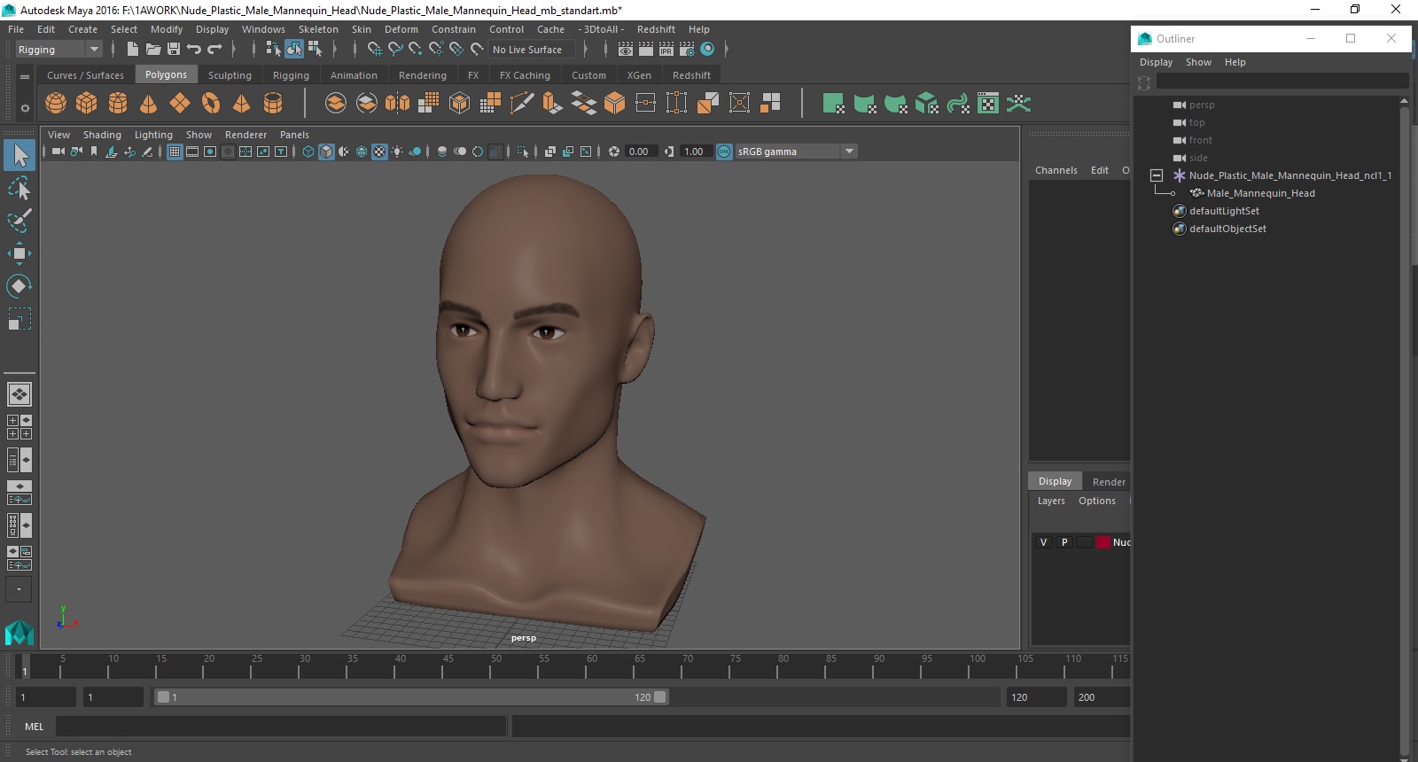 Nude Plastic Male Mannequin Head 3D