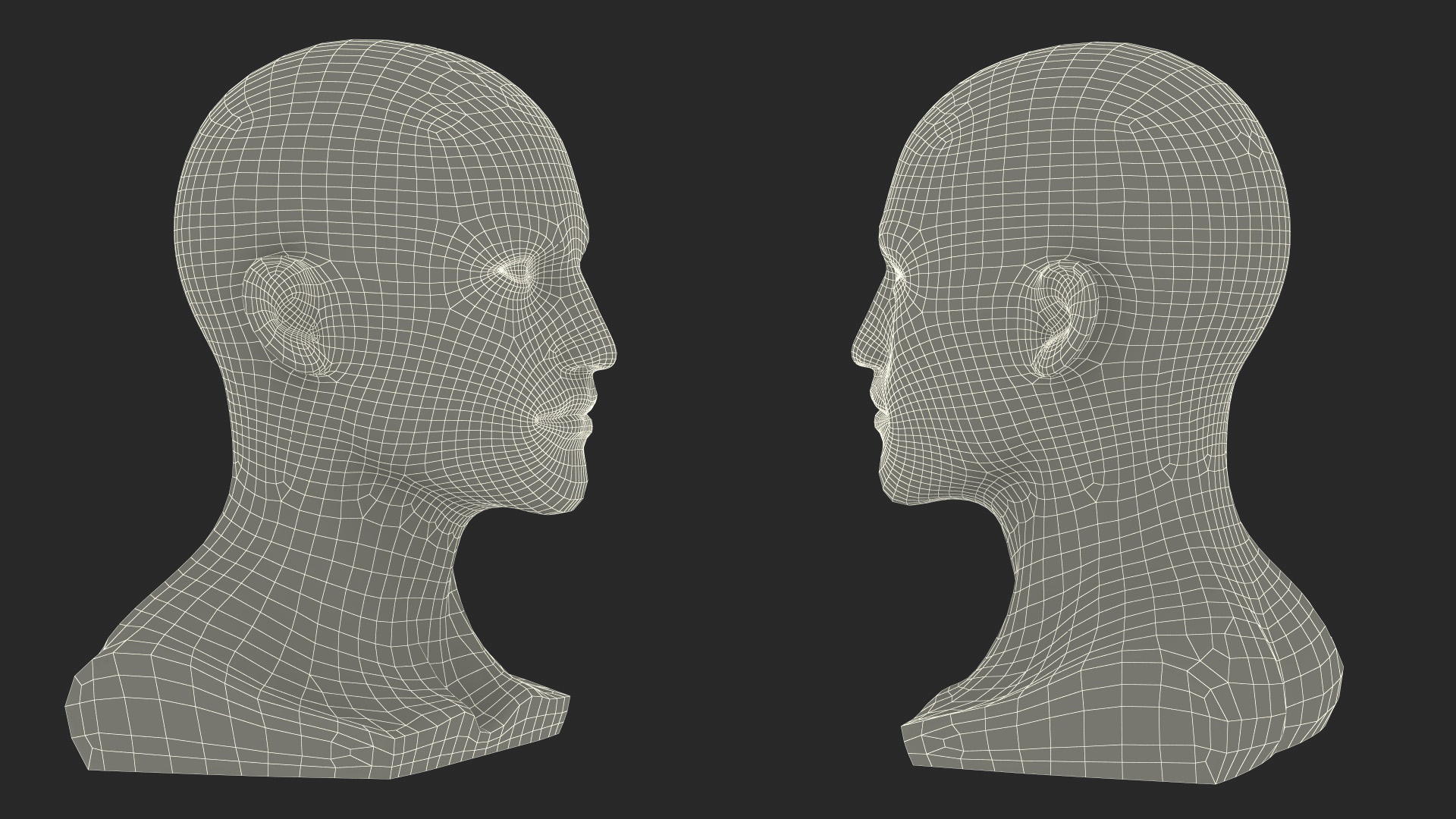 Nude Plastic Male Mannequin Head 3D