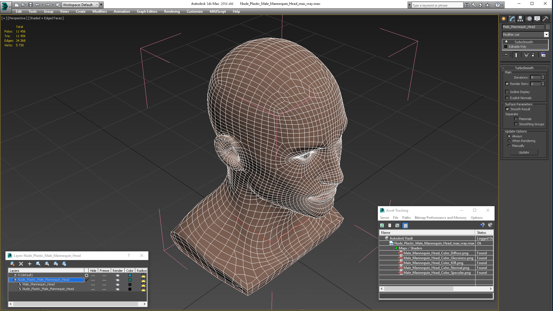 Nude Plastic Male Mannequin Head 3D