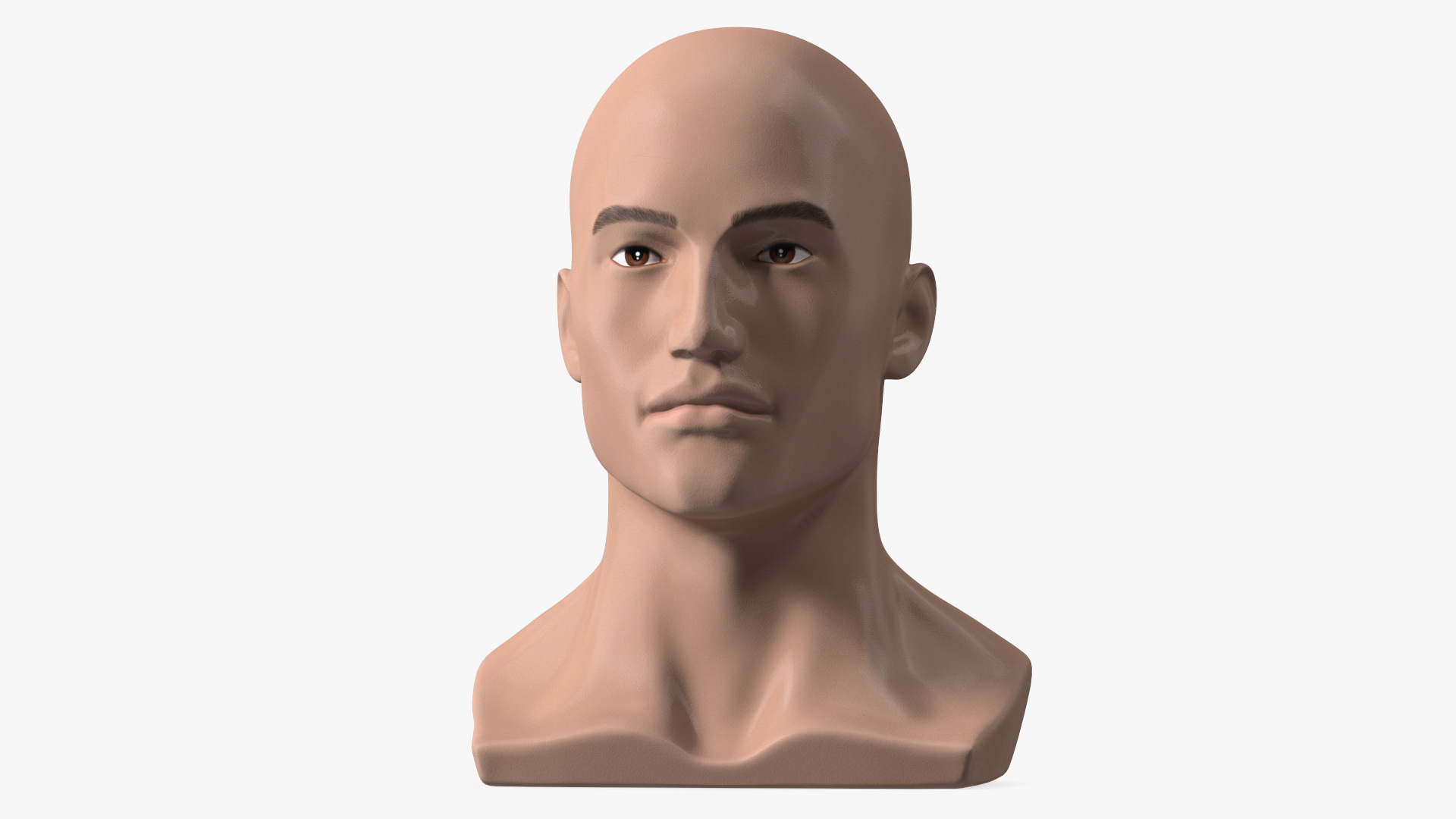 Nude Plastic Male Mannequin Head 3D