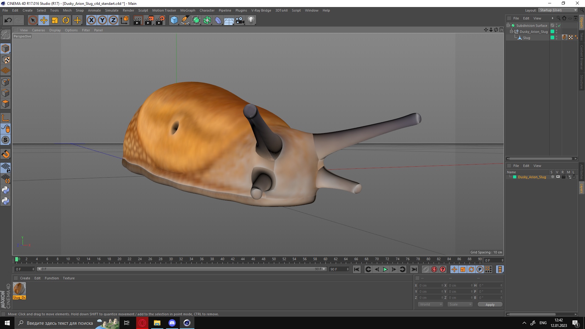 3D Dusky Arion Slug