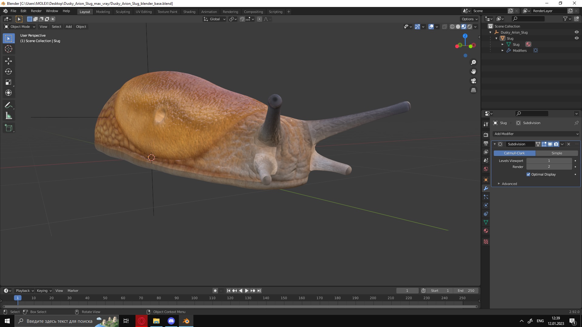 3D Dusky Arion Slug