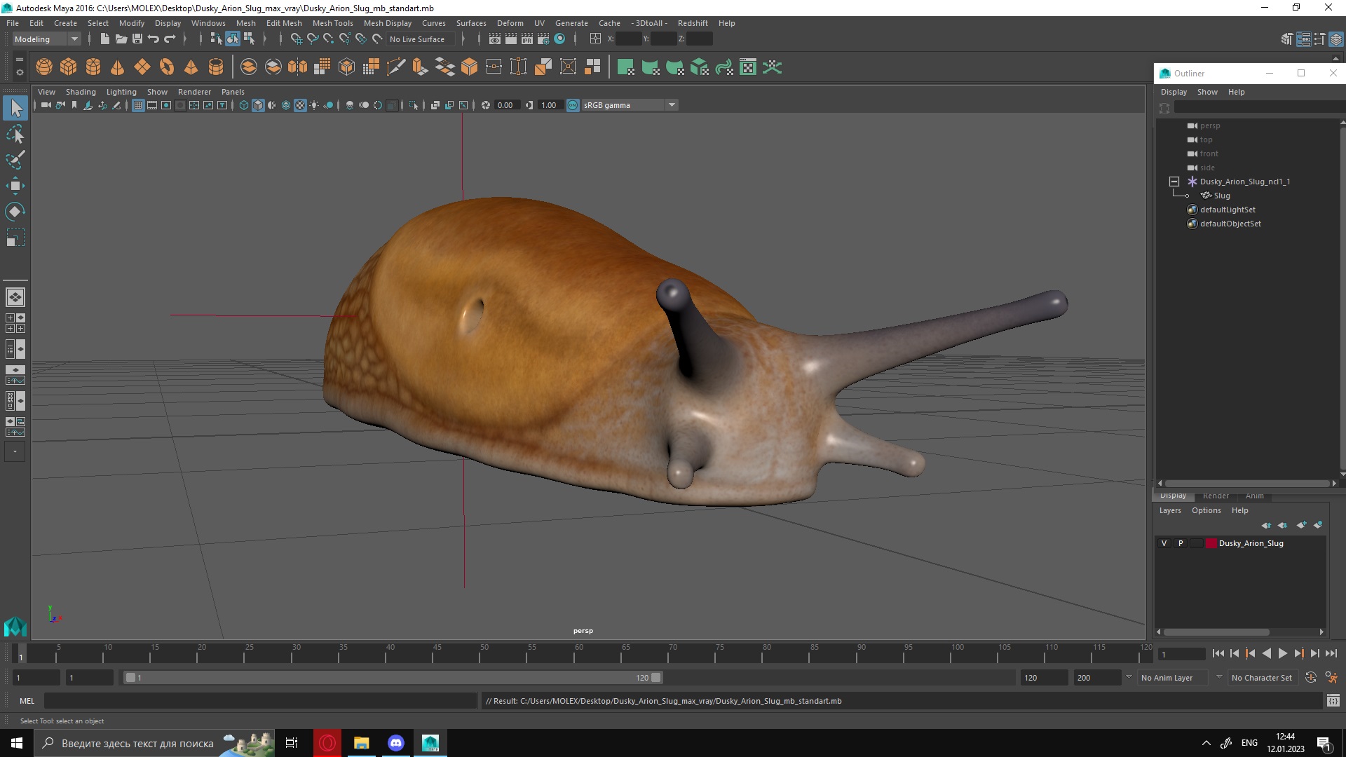 3D Dusky Arion Slug