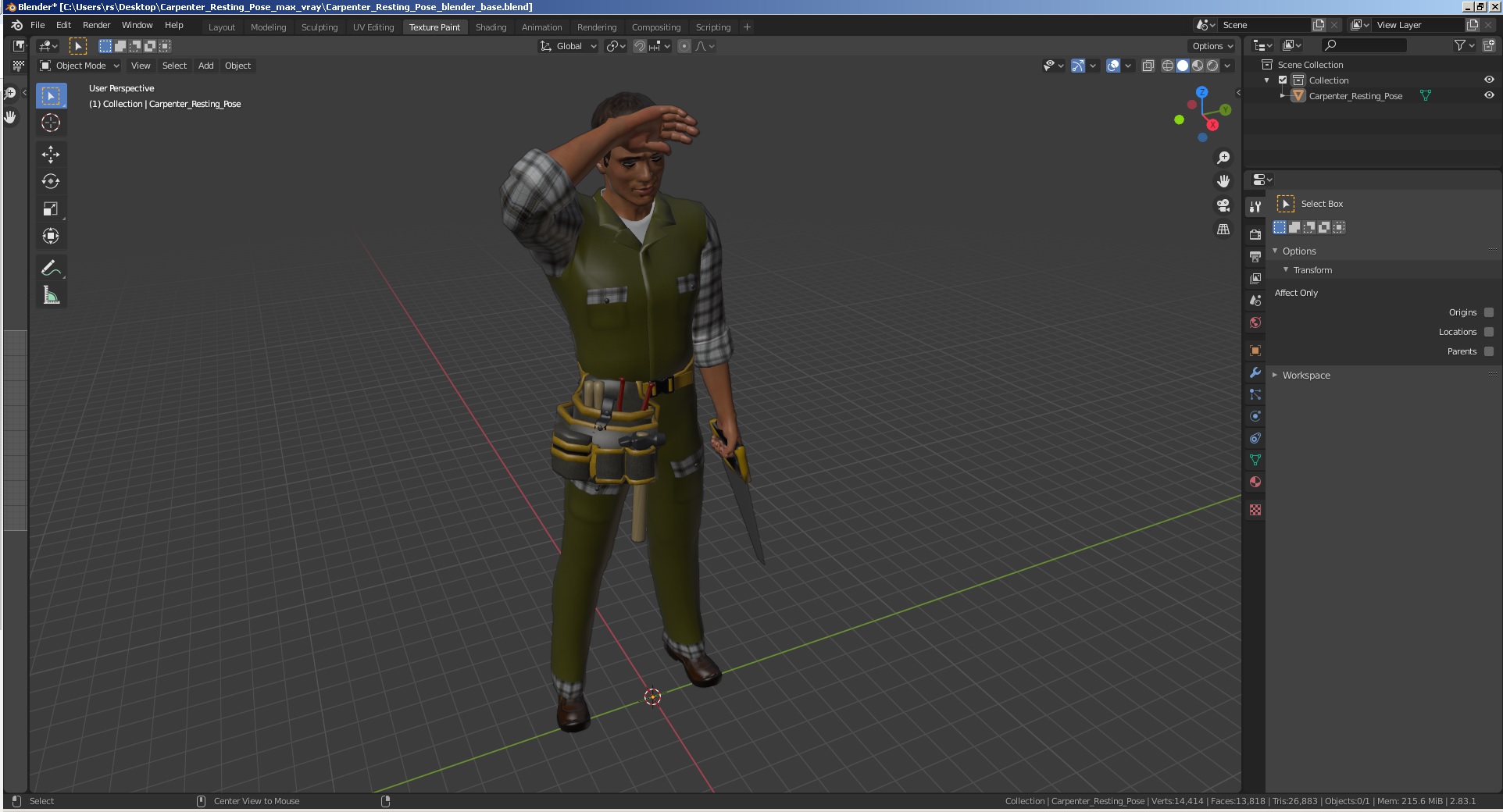 Carpenter Resting Pose 3D