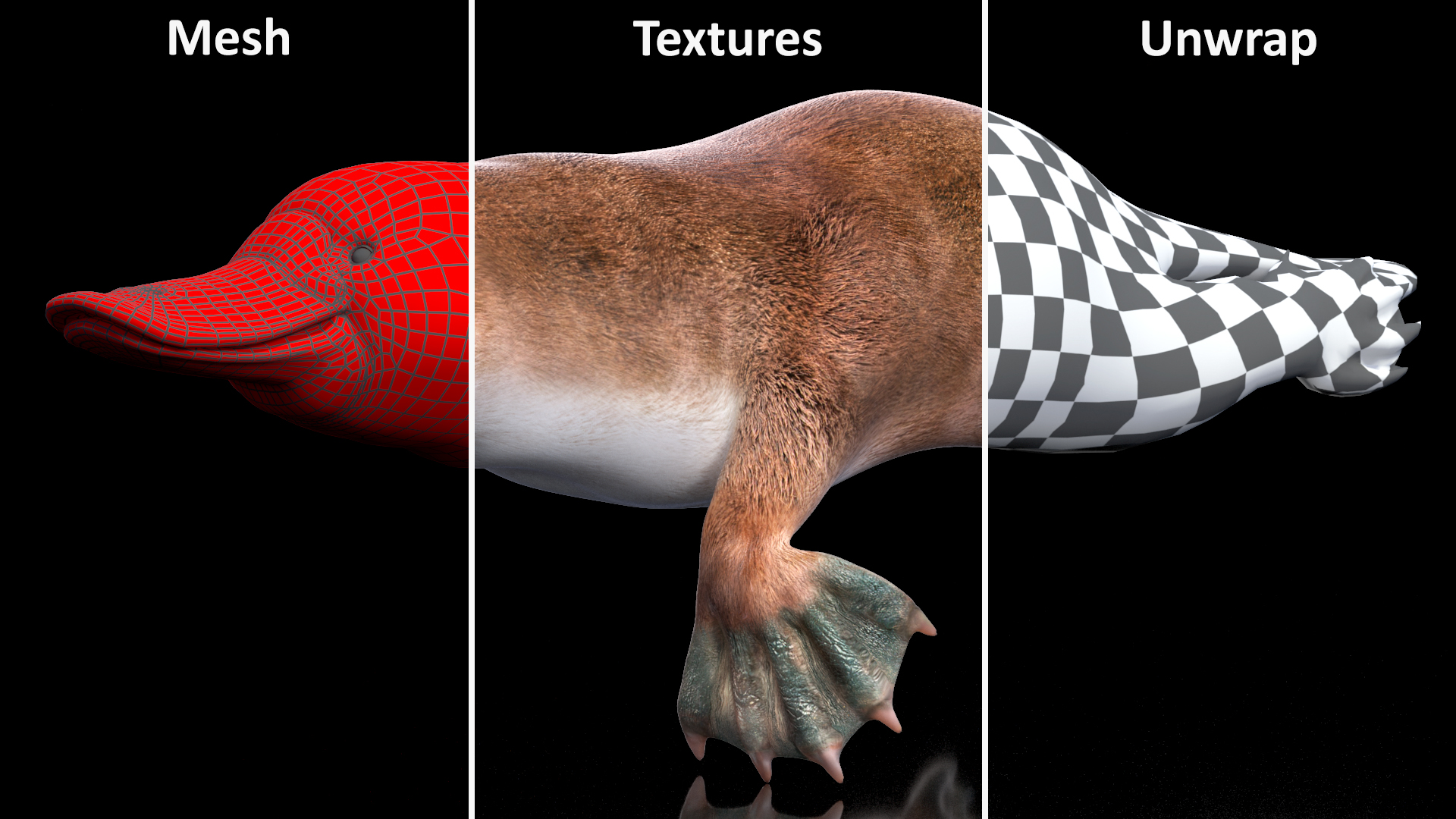 Platypus Swimming Pose 3D